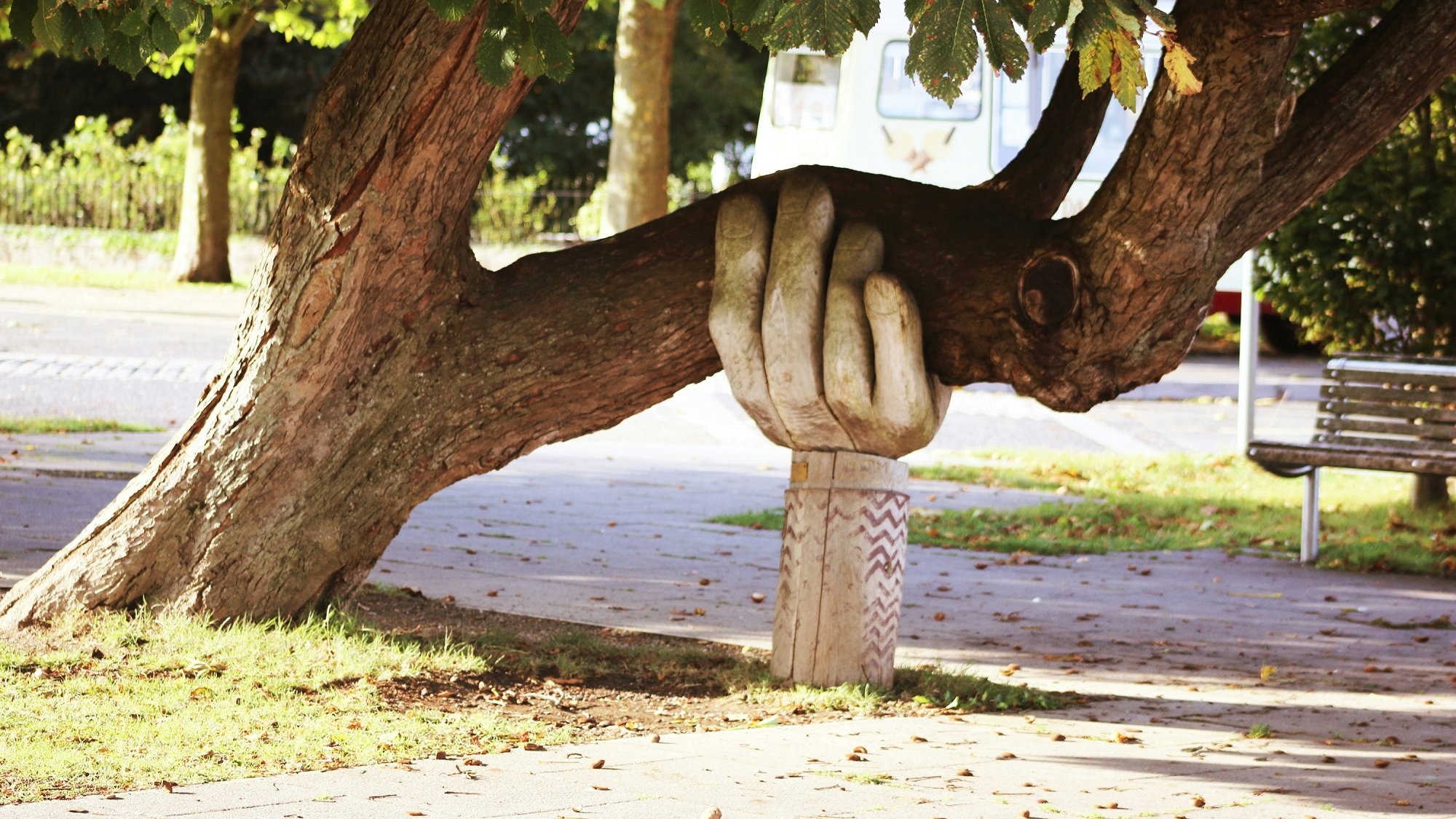 L'image montre un arbre avec une branche qui semble être soutenue par une main sculptée en bois. La main est placée sur un tronc ou un support qui donne l'impression qu'elle est en train de tenir la branche. L'environnement est paisible, avec des feuilles au sol et un banc en arrière-plan. Cette œuvre d'art crée une interaction intéressante entre la nature et la sculpture, apportant une touche d'originalité au paysage urbain.