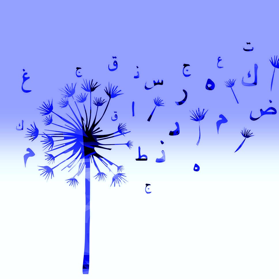 L'image présente un fond dégradé, passant d'un bleu clair en haut à un blanc en bas. Au centre, on observe une illustration de fleur de pissenlit, dont les graines s'envolent. Les graines sont stylisées sous forme de lettres arabes, qui s'éparpillent dans l'air comme si elles étaient emportées par le vent. Cette composition évoque à la fois la légèreté et la poésie de l'écriture, créant un lien entre la nature et la langue.