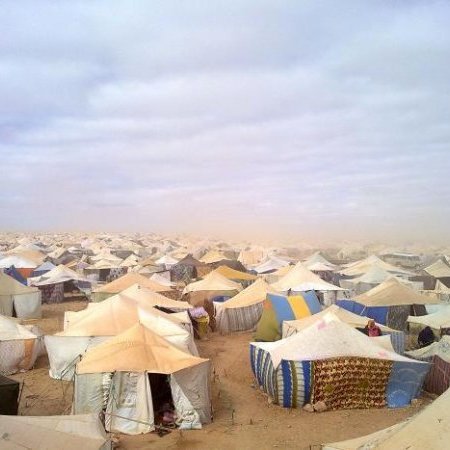 L'image montre un vaste camp de tentes, s'étendant à perte de vue dans un environnement désertique. Les tentes, de diverses tailles et couleurs, sont disposées de manière dense sur le sol sablonneux. Le ciel est nuageux, ce qui donne une atmosphère grise et légèrement menaçante, suggérant peut-être des conditions météorologiques difficiles. On peut également apercevoir de la poussière soulevée par le vent, ajoutant à l'impression de désolation et d'isolement de cet espace.