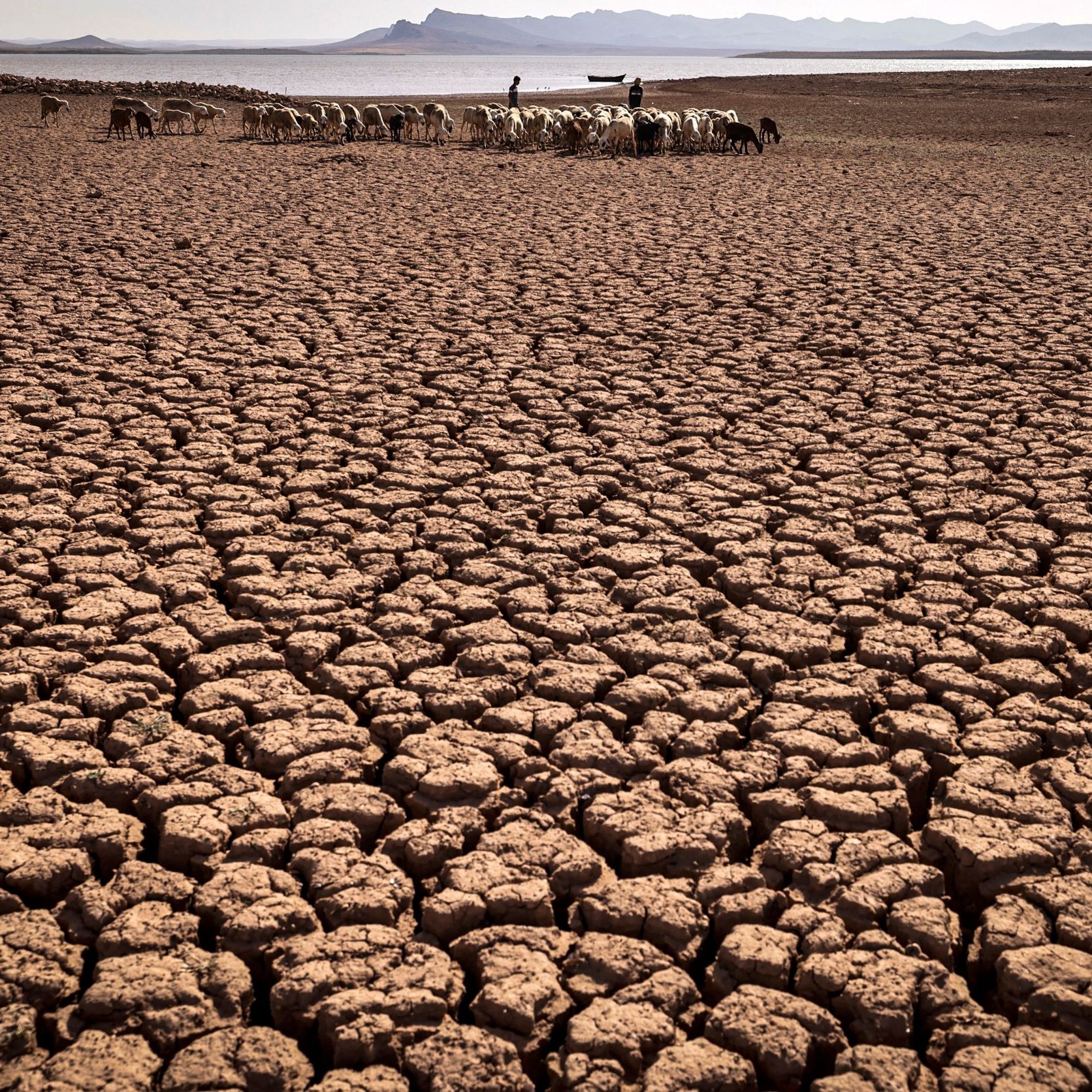 L'immagine mostra un vasto paesaggio arido e secco, con il terreno crepato e screpolato, tipico di una zona colpita dalla siccità. In lontananza, si intravede un gruppo di persone che si prendono cura di un branco di animali. Lo sfondo presenta un panorama montuoso, mentre il cielo è sereno. Questa scena evoca una sensazione di difficoltà e resilienza, riflettendo le sfide legate alla mancanza di acqua e risorse naturali.