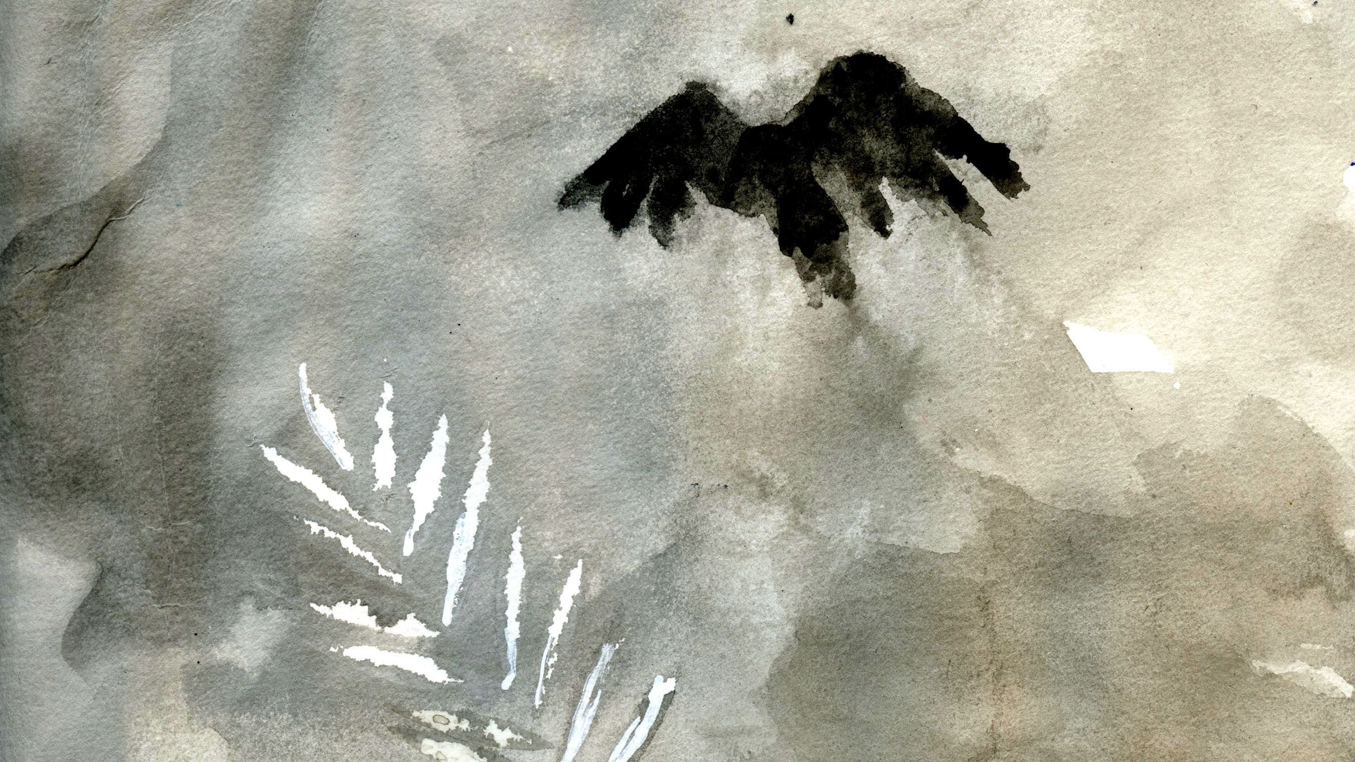 L'image présente un fond aquarelle aux nuances de gris et de noir. On y observe une silhouette sombre qui ressemble à un oiseau en vol, avec des ailes étendues. En bas à gauche, quelques traits blancs évoquent des feuilles ou des motifs végétaux. L'ensemble crée une atmosphère douce et mélancolique, avec un contraste subtil entre les éléments sombres et clairs.