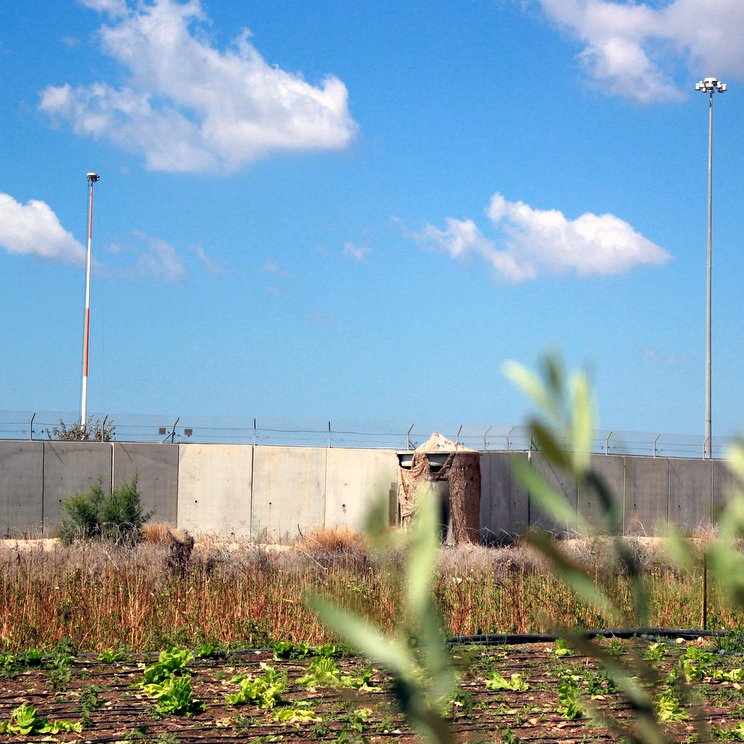 L'image montre un paysage avec un mur en béton qui semble délimiter une zone. Au fond, on peut voir des pylônes de communication et des lampadaires, suggérant une certaine infrastructure. Au premier plan, il y a un champ de cultures avec des lignes de légumes, probablement dans un état de sécheresse ou de négligence, tandis qu'un feuillage flou dans la partie inférieure de l'image ajoute une touche naturelle. Le ciel est bleu avec quelques nuages.