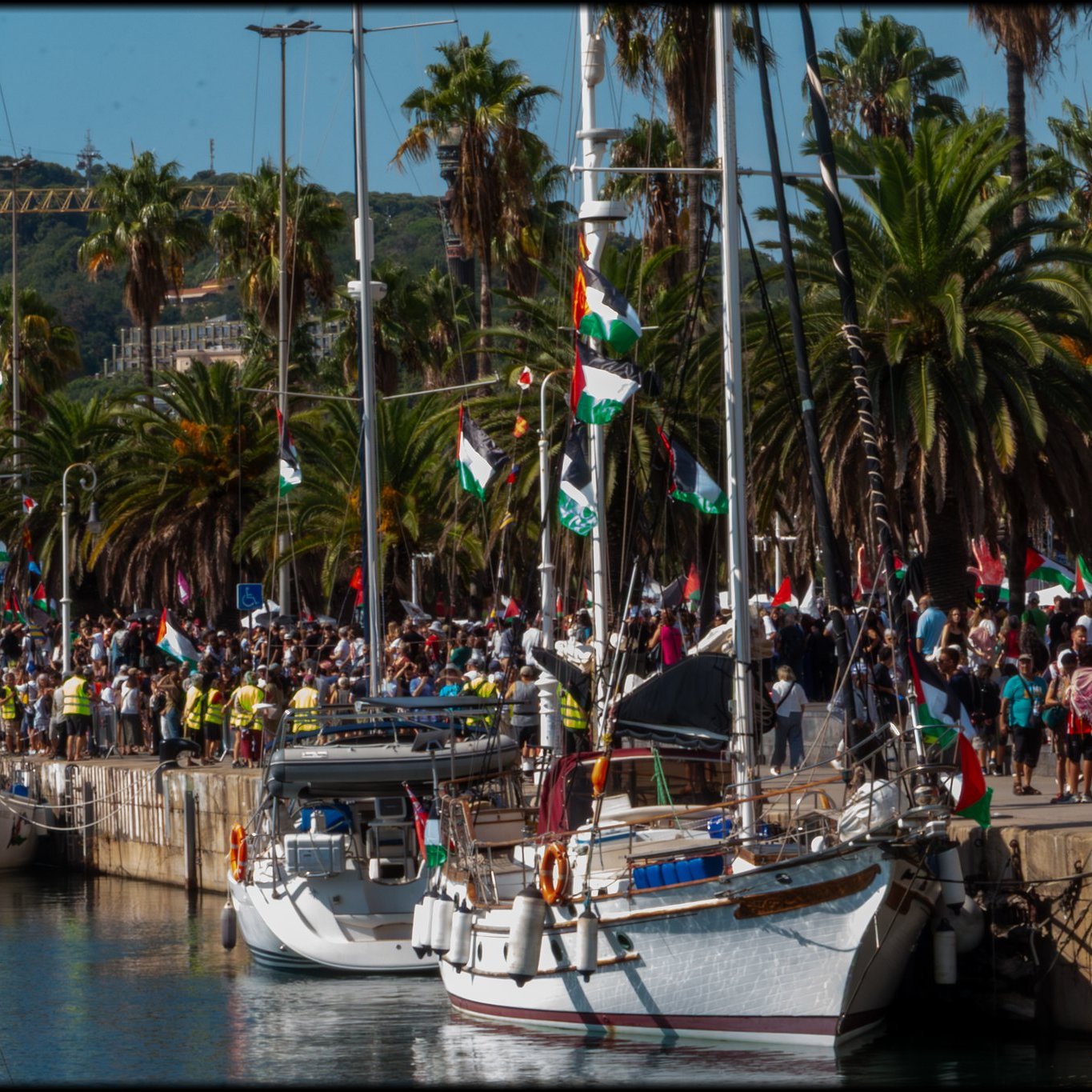 Port animé avec des voiliers décorés de drapeaux et des gens rassemblés sous des palmiers.