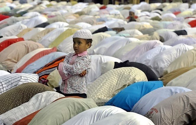 تظهر في الصورة مجموعة كبيرة من الأشخاص وهم يؤدون الصلاة، حيث يتواجدون في صفوف متراصّة على الأرض. في مقدمة الصورة، هناك طفل صغير يرتدي قبعة بيضاء وقميص مزخرف، يقف ويشاهد المصلين بعناية. يبدو أن الطفل في حالة من التركيز أو الفضول، بينما يظهر باقي المصلين في وضع السجود أو الركوع، مما يعكس أجواء العبادة والروحانية.