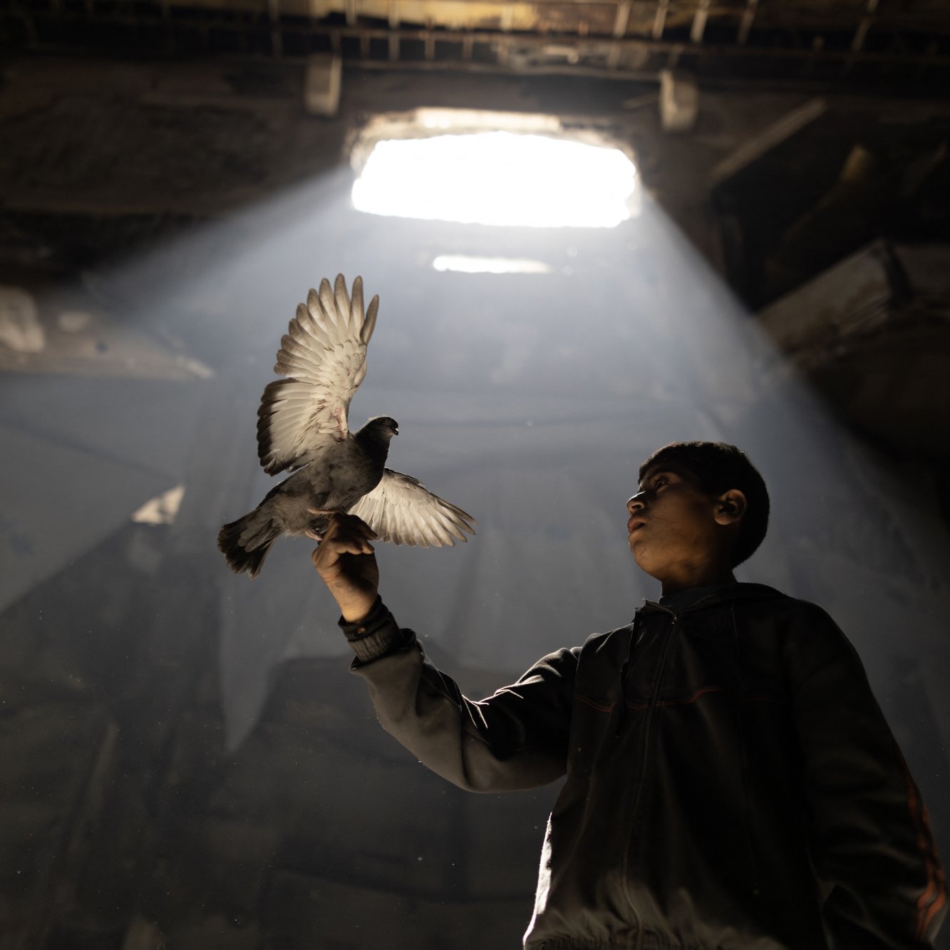 Un garçon tient un pigeon sous un rayon de lumière dans un lieu sombre.