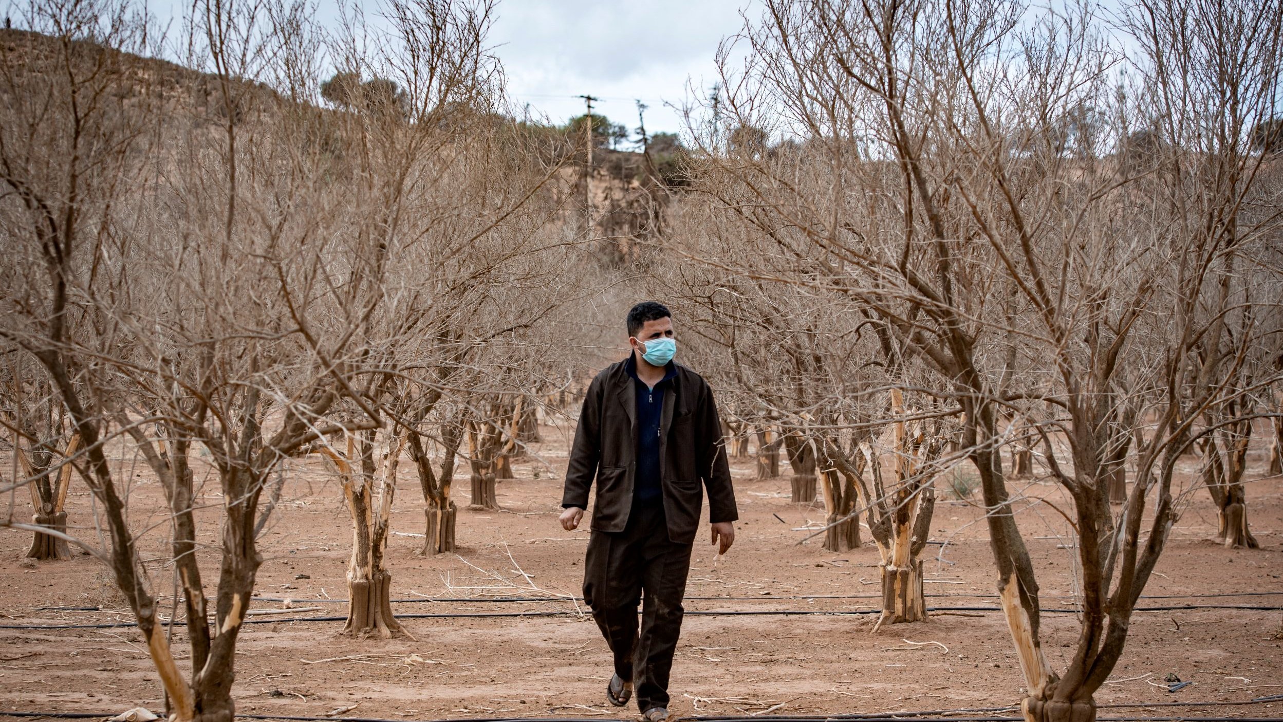 تظهر الصورة رجلًا يسير بين أشجار جافة في حقل. الأشجار تبدو وكأنها تمر بمرحلة جفاف، وقوامها غير مكتمل. الرجل يرتدي قناعًا للوجه، كما يرتدي ملابس فضفاضة، ويبدو وكأنه يتفقد الأرض. السماء خلفه غائمة، مما يضفي جوًا من الحزن والكساد على المنظر. الأرض جافة وتفتقر إلى النباتات الخضراء.