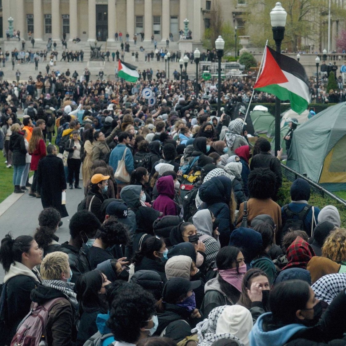 Un grand rassemblement de manifestants avec des drapeaux, dans un parc.