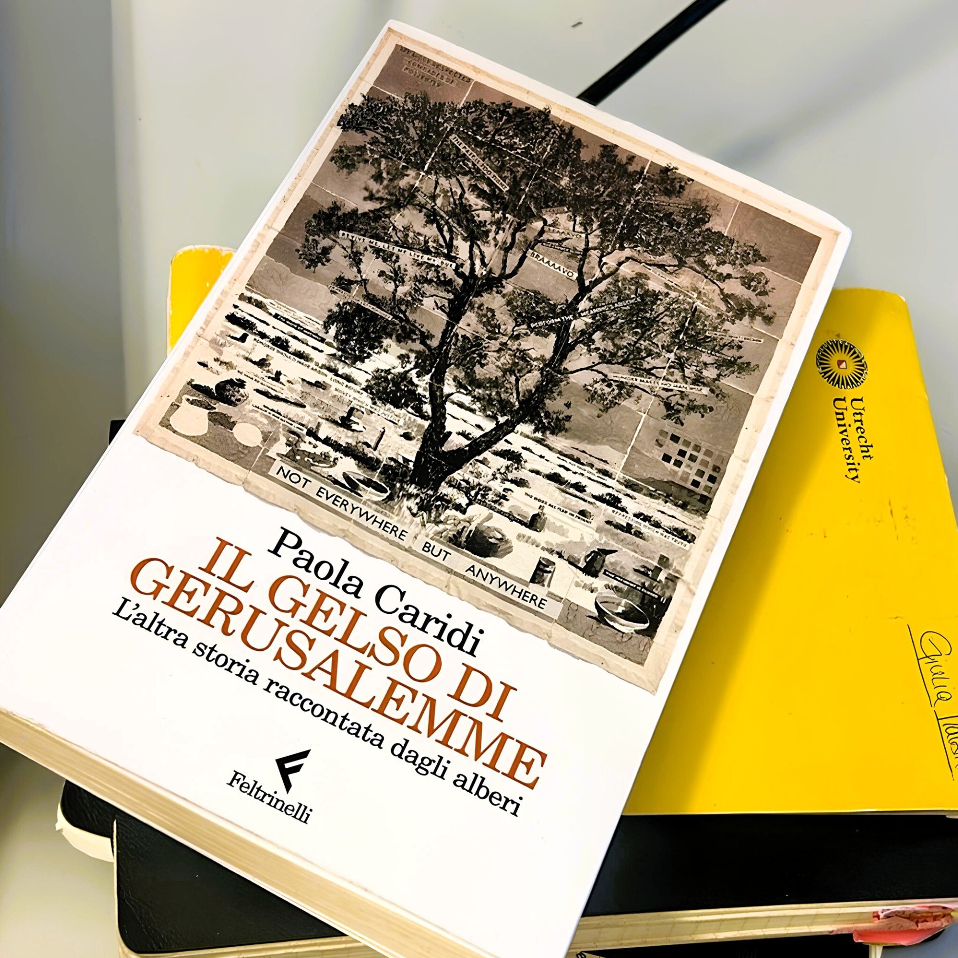 L'immagine mostra un libro intitolato "Il gelso di Gerusalemme" di Paola Caridi, con una copertina bianca e un'illustrazione di un albero. Accanto al libro ci sono alcuni quaderni e una penna, creando una composizione ordinata.