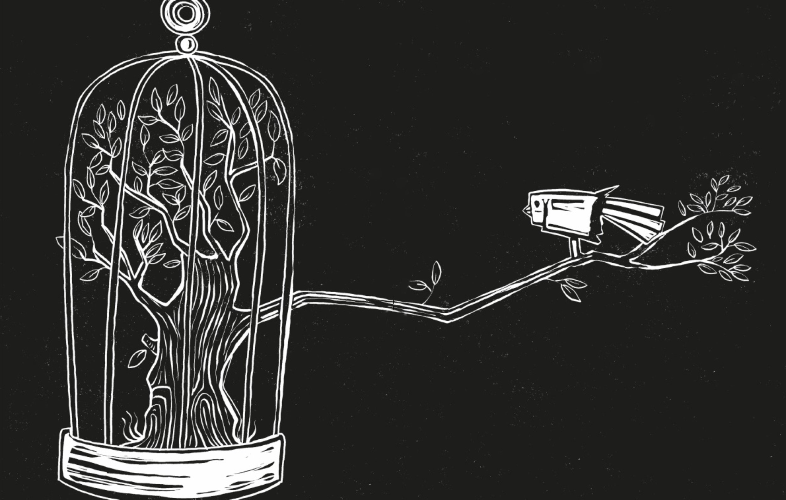 L'image représente une cage stylisée, ouverte sur le haut, dans laquelle se trouve un arbre aux feuilles bien détaillées. La cage est dessinée de manière délicate, avec des branches et des feuilles qui semblent s'épanouir à l'intérieur. À l'extérieur de la cage, il y a un oiseau posé sur une branche, qui regarde l'arbre. Le fond est noir, ce qui met en valeur les éléments blancs du dessin. Cette illustration évoque des thèmes de liberté, de nature et de contraste entre la captivité et l'évasion.