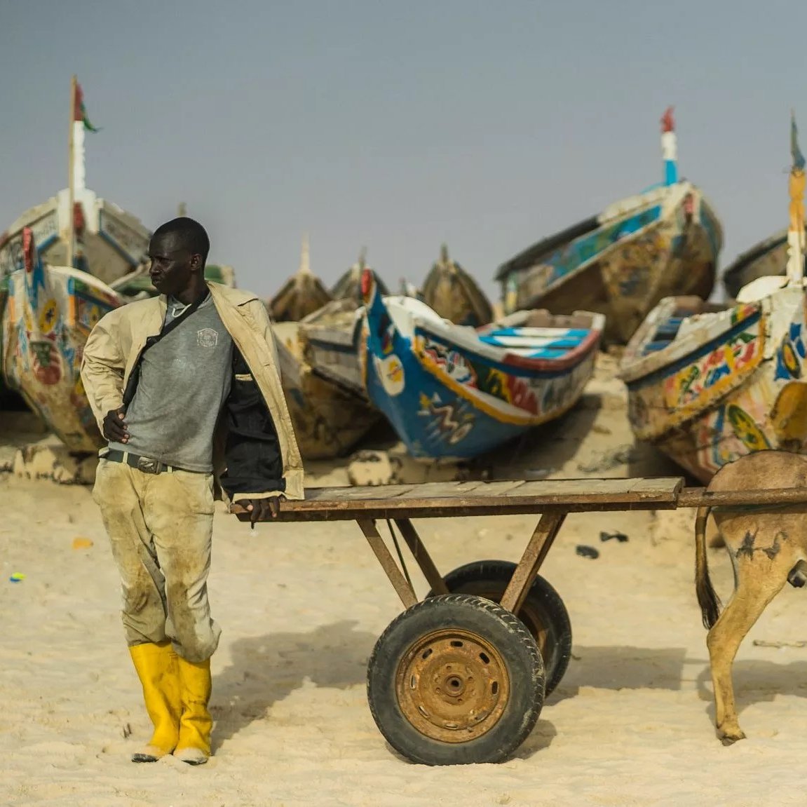 L'image montre un homme debout à côté d'une charrette tirée par un âne sur une plage. En arrière-plan, plusieurs bateaux colorés sont échoués sur le sable, ornés de motifs et de peintures vives. L'homme porte des bottes jaunes, un pantalon beige et une veste claire. L'ambiance évoque une scène de la vie maritime, probablement liée à la pêche.