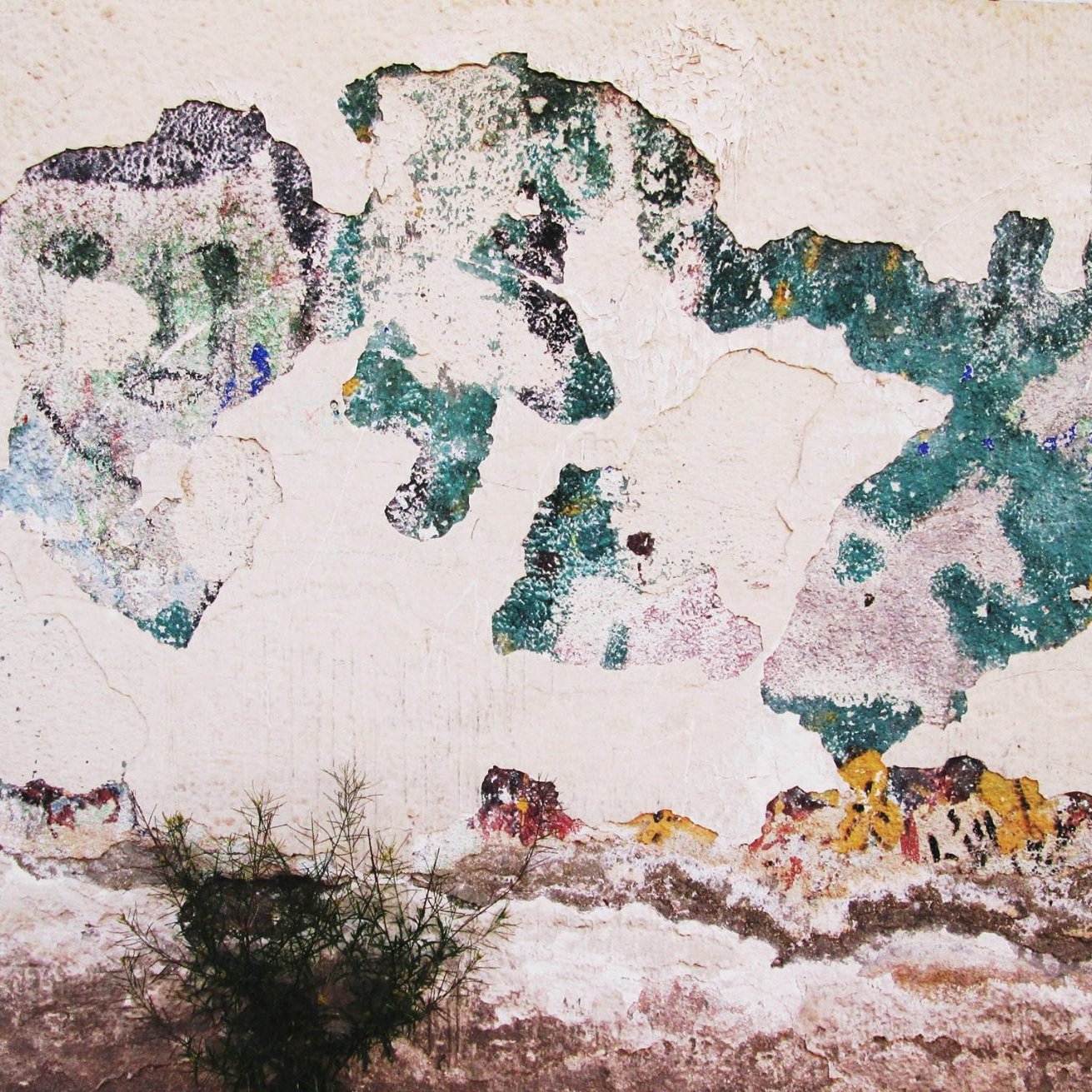 L'immagine sembra rappresentare un muro con intonaco danneggiato. La superficie è cosparsa di macchie di diversi colori, in particolare tonalità di verde e blu, che si mescolano a una base di colori più chiari e scuri. Alcuni tratti di vernice sembrano essere sbiaditi o scrostati, rivelando strati sottostanti e creando un effetto di usura nel tempo. In basso, si intravede una piccola pianta che cresce sulla superficie. L'insieme conferisce un senso di abbandono e di storia.