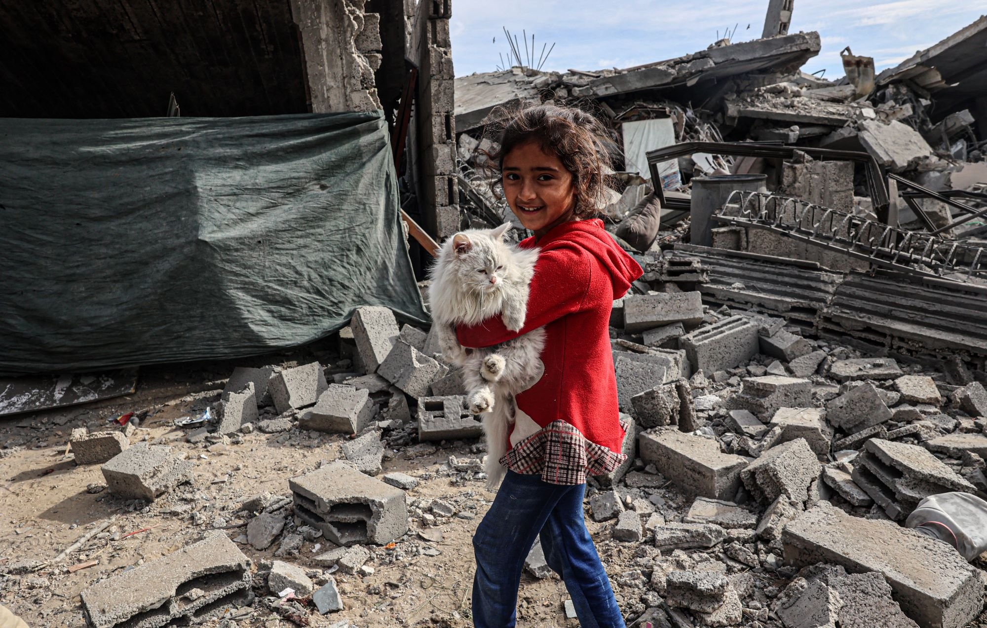 در این تصویر، دختربچه‌ای در حال خوشحالی دیده می‌شود که یک حیوان خانگی، احتمالاً یک خرگوش، را در آغوش گرفته است. او لباسی قرمز به تن دارد و با لبخند به دوربین نگاه می‌کند. پس‌زمینه تصویر نشان‌دهنده یک خرابه است، با دیوارها و سازه‌های ویران شده و قطعات بتونی که بر روی زمین پراکنده‌اند. احساس تصویر می‌تواند ترکیبی از شادی و غم باشد، زیرا کودک در حالی که در یک محیط خرابه زندگی می‌کند، از همراهی حیوان خانگی‌اش لذت می‌برد.