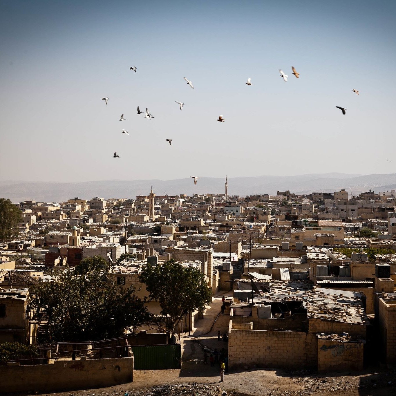 تظهر الصورة مشهدًا واسعًا لمدينة أو قرية صغيرة، حيث تتناثر المباني والمتاجر على التلال. السماء صافية ومنارة، مع مجموعة من الطيور التي تحلق في الفضاء العلوي. المباني تبدو بسيطة وأغلبها ذو أسطح مغطاة، مما يدل على بيئة قد تكون فقيرة أو ريفية. في المقدمة، يمكن رؤية شجرة وحيدة، مما يضفي لمسة من الحياة على المشهد. الألوان في الصورة تتنوع بين درجات البني والرمادي، مما يعكس طبيعة المكان وجوهر الحياة فيه.