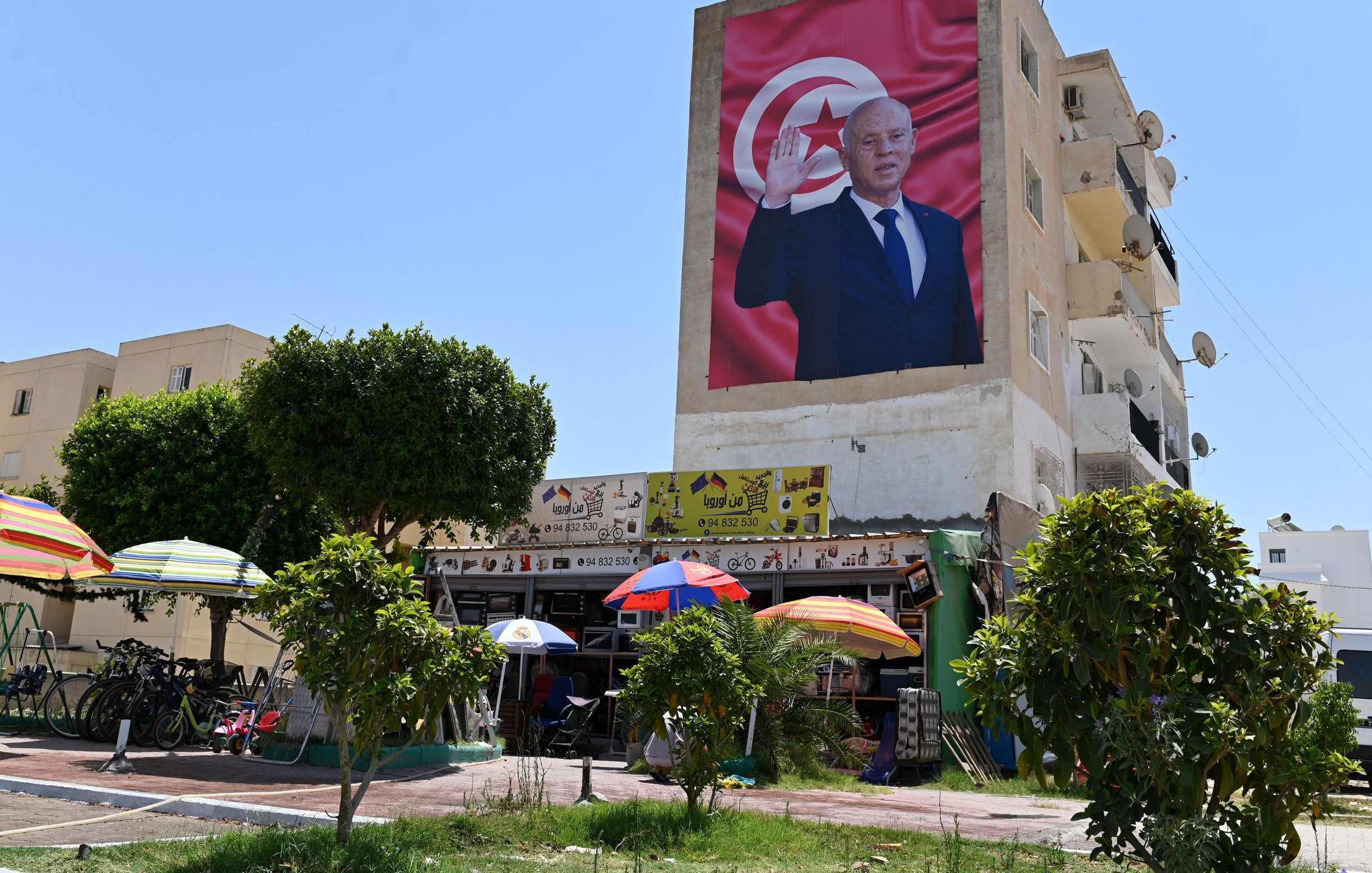 در این تصویر، یک دیوار بزرگ ساختمان نشان داده شده است که بر روی آن تصویری از یک فرد با اشاره به سمت بیننده مشاهده می‌شود. این شخص لباس رسمی به تن دارد و در پس‌زمینه تصویر، پرچم تونس دیده می‌شود. در پایین تصویر، یک کارگاه یا فروشگاه کوچک قرار دارد که چند نفر در زیر چادرهای رنگی نشسته‌اند. درختان سبز و دوچرخه‌ها نیز در تصویر وجود دارند. آسمان آبی و صاف به نظر می‌رسد.