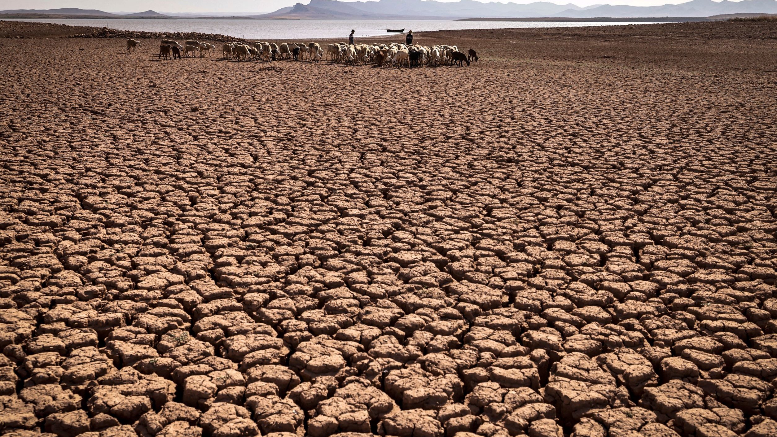 این تصویر صحنه‌ای از یک زمین خشک و ترک خورده را نشان می‌دهد. سطح زمین به طور واضح با ترک‌های عمیق و منظمی پوشیده شده است که ناشی از خشکی و کمبود آب است. در پس‌زمینه، چند نفر به همراه تعدادی دام در حال حرکت هستند، که نشان‌دهنده تلاش برای یافتن علوفه یا آب در این بیابان خشک است. کوه‌های دور در دوردست به وضوح قابل مشاهده هستند و آسمانی آبی با ابری جزئی بخشی از این چشم‌انداز را تشکیل می‌دهد. وضعیت کلی تصویر حس تنهایی و خشکی را منتقل می‌کند.