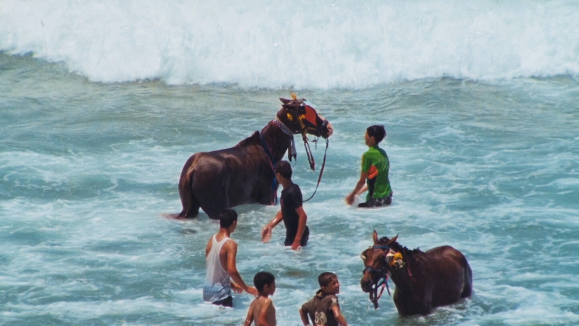 The image shows several people in the ocean with two horses. The horses, adorned with decorative accessories, are standing in the shallow water, while the people, including children and adults, are interacting with them. Waves can be seen in the background, creating a lively beach scene. The atmosphere appears joyful and playful, with the water splashing around as the individuals engage with the horses.