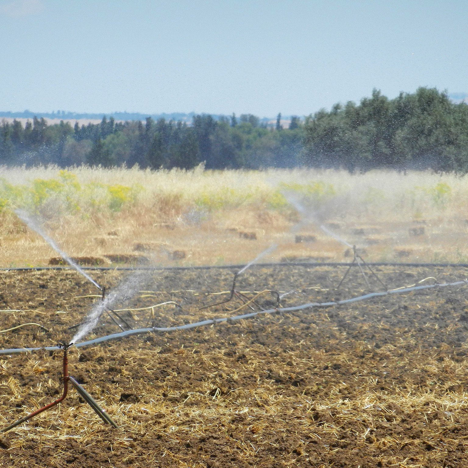 تظهر في الصورة مزرعة حيث يتم ري الأرض. يتم ضخ الماء من خلال أنابيب مرتبة على طول الحقل، حيث تتصاعد الرشات بشكل منعش فوق التربة الجافة. في الخلفية، تظهر بعض الأشجار والمزارع الأخرى، مما يدل على بيئة زراعية. السماء زرقاء وصافية، مما يضفي شعوراً بالهدوء والطبيعة.