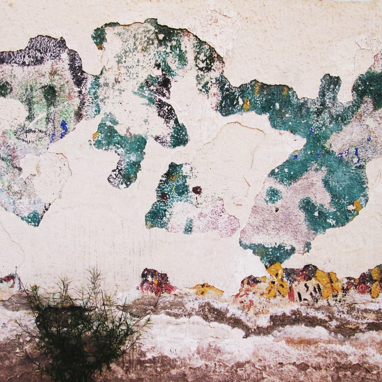L'image montre un mur dont la peinture est écaillée, révélant des couches de couleur dégradées. Il y a des taches de vert, de bleu et d'autres teintes qui créent un aspect artistique et abstrait. Certaines parties du mur sont presque complètement dépouillées de peinture, laissant apparaître le crépi ou le béton en dessous. En bas, on voit une plante qui pousse, ajoutant une touche de vie à ce décor usé et texturé. L'ensemble évoque une atmosphère nostalgique et peut-être un sentiment d'abandon.
