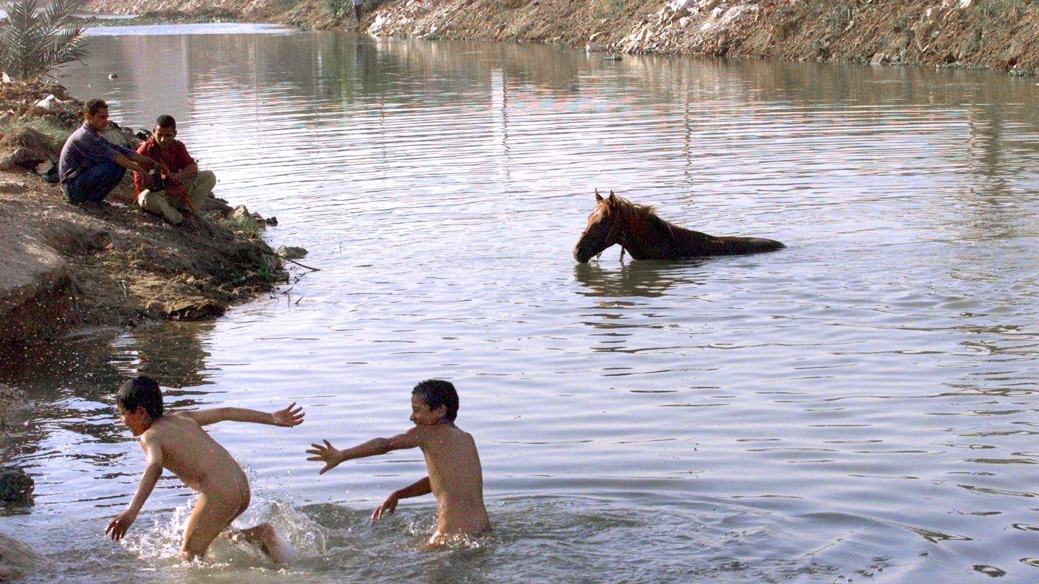 L'immagine mostra un fiume con due ragazzi che stanno giocando nell'acqua, apparentemente divertendosi a spruzzarsi. In lontananza, un cavallo si trova parzialmente immerso nell'acqua. Sulla riva, si notano anche alcune persone che osservano la scena. Gli elementi naturali e l'atmosfera sembrano suggerire un momento di spensieratezza e libertà durante una giornata calda.