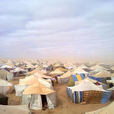 L'image montre un vaste camp de tentes, s'étendant à perte de vue dans un environnement désertique. Les tentes, de diverses tailles et couleurs, sont disposées de manière dense sur le sol sablonneux. Le ciel est nuageux, ce qui donne une atmosphère grise et légèrement menaçante, suggérant peut-être des conditions météorologiques difficiles. On peut également apercevoir de la poussière soulevée par le vent, ajoutant à l'impression de désolation et d'isolement de cet espace.