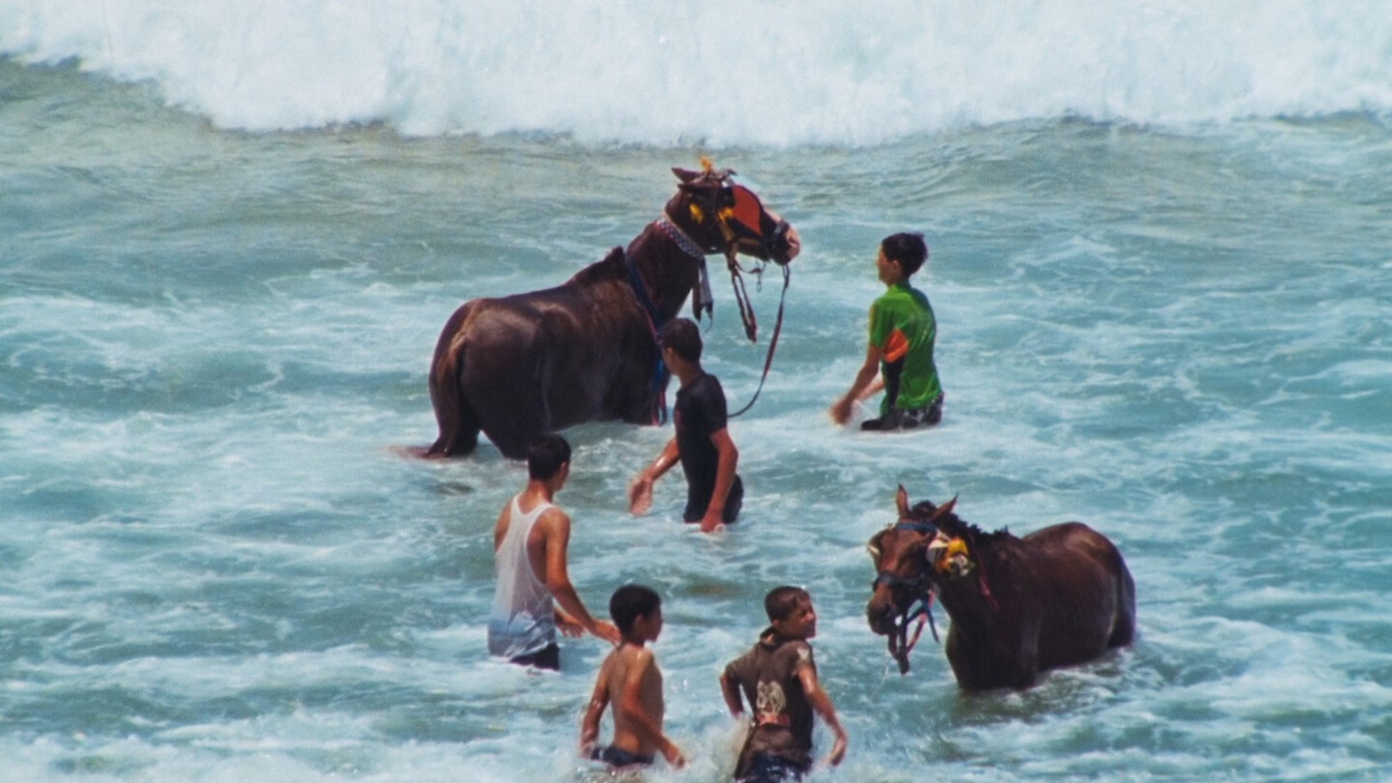 L'image montre des enfants et des adolescents dans l'eau, entourés de chevaux. Les chevaux, qui semblent se rafraîchir, sont équipés de harnais colorés. Les jeunes, en maillots de bain, jouent et interagissent avec les animaux tout en se tenant dans les vagues de la mer. L'ambiance paraît joyeuse et ludique, typique d'une journée à la plage. Les vagues sont visibles en arrière-plan, ajoutant à la scène estivale.
