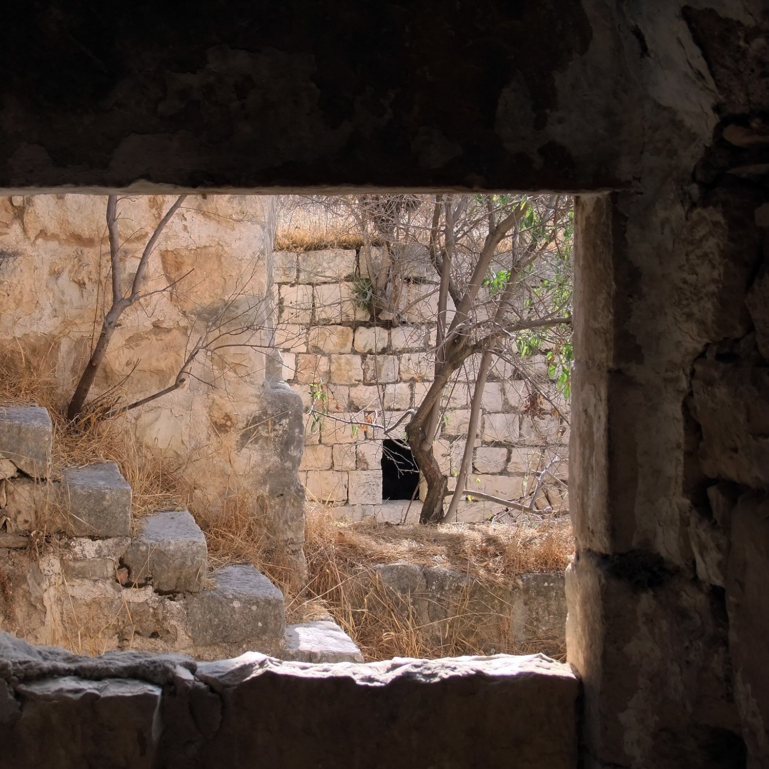 الصورة تُظهر إطار نافذة يطل على مشهد قديم يحتوي على جدران حجرية ودرجات. يبدو أن المكان مهجور، حيث يبرز فيه نبات جاف وبعض الأعشاب. من خلال النافذة، يمكن رؤية جزء من مبنى قديم، مما يوحي بتاريخ طويل للمكان. الجو العام يعكس الشعور بالهدوء والسكينة، مع لمسات من الطبيعة التي بدأت تستعيد المكان.