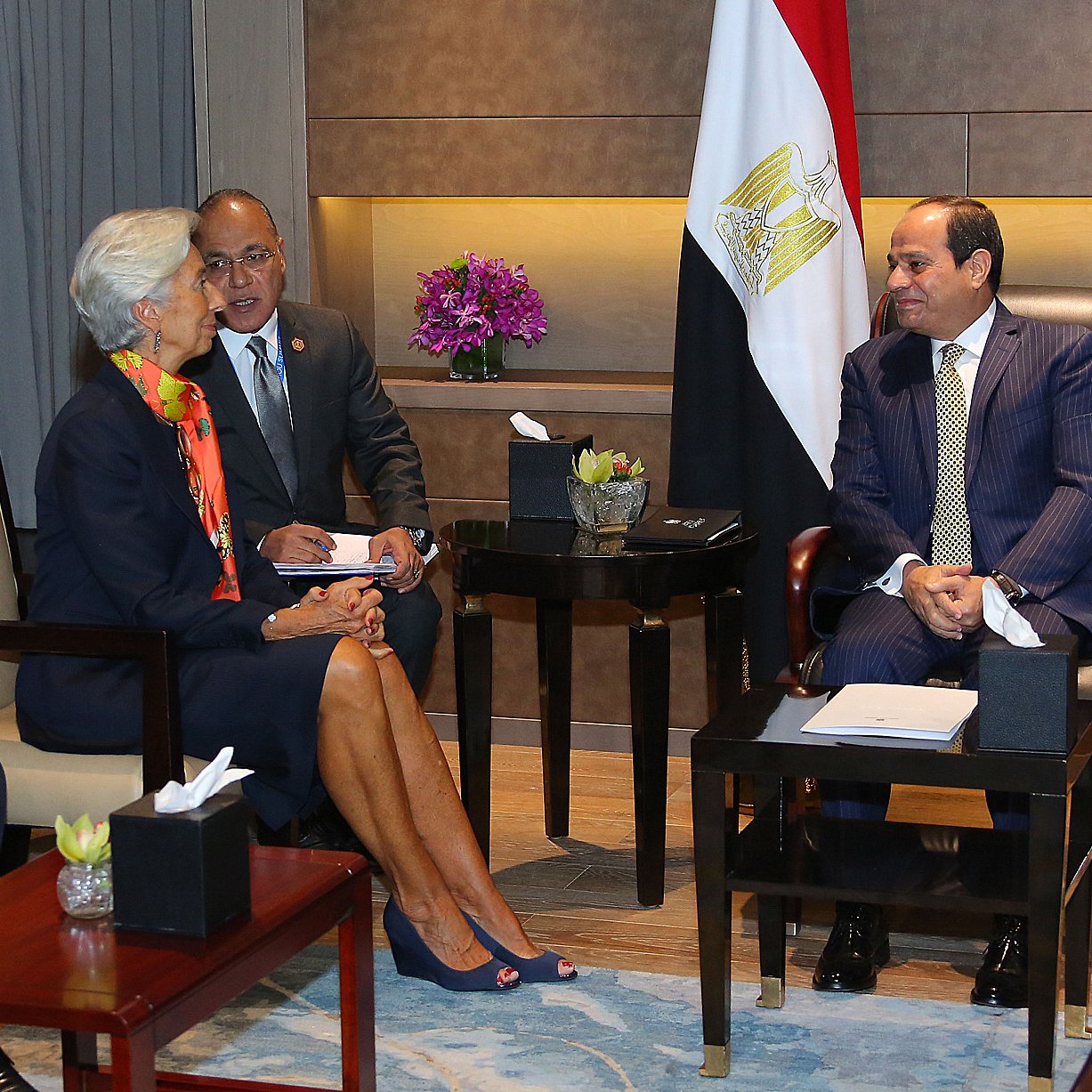 تظهر الصورة اجتماعًا رسميًا بين عدد من الشخصيات، حيث يجلس رجل يرتدي بدلة رسمية، على الأرجح هو رئيس دولة أو مسؤول حكومي، ويبدو أنه يناقش مع امرأة ترتدي ملابس أنيقة، ربما تكون مسؤولة دولية أو من منظمات كبيرة. يوجد شخص ثالث يقف بينهما، وهو يراقب الحوار. خلفهم، تُرى علم مصر، مما يشير إلى أن الاجتماع يتم في مصر أو يتعلق بشؤونها. الأجواء تبدو رسمية وودية.