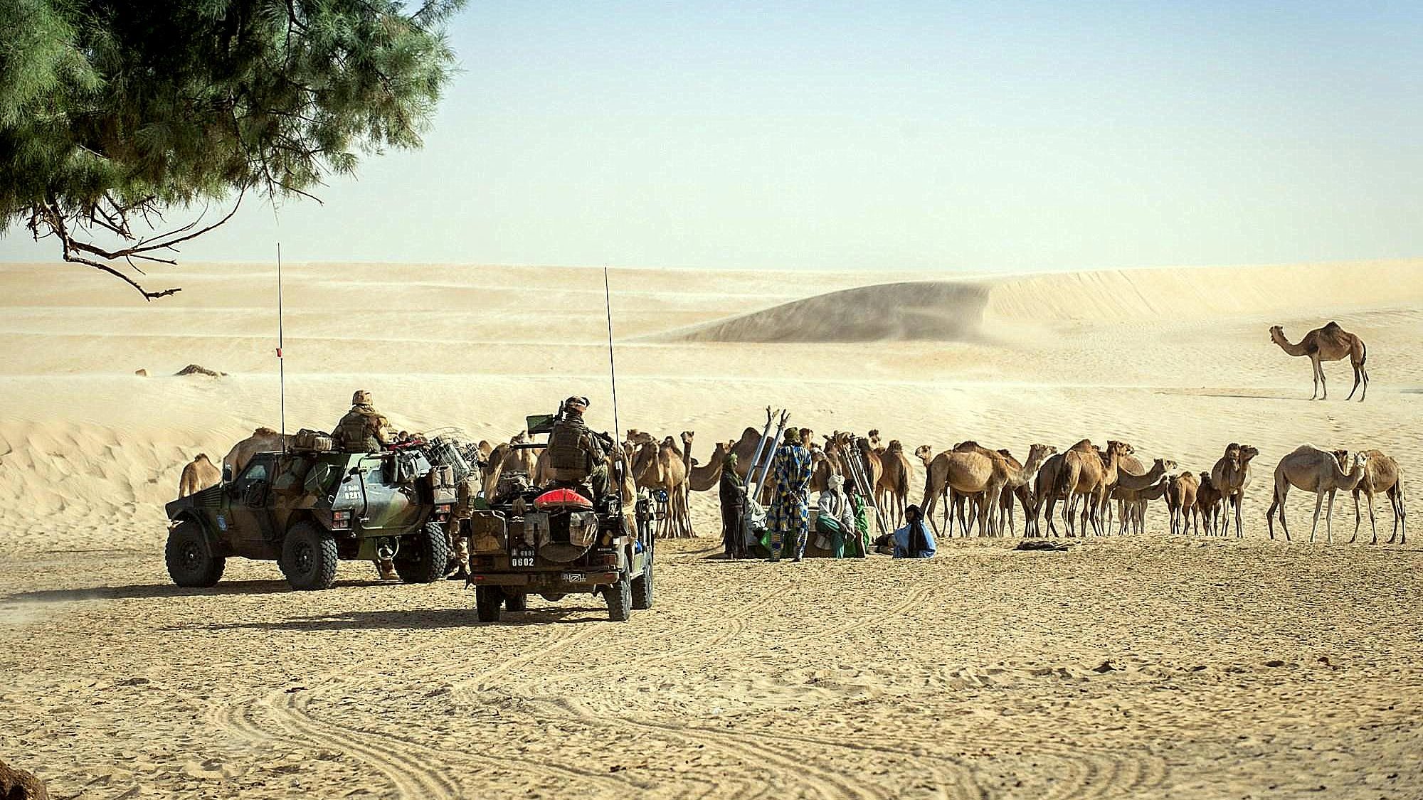 الصورة تظهر مشهداً في الصحراء حيث توجد عربتان عسكريتان على اليسار، مع عدد من الجنود المتواجدين بالقرب منهما. في الخلفية، يمكن رؤية مجموعة من الإبل تتجمع في منطقة رملية شاسعة تحت سماء زرقاء. تبدو المنطقة هادئة مع بعض الأشجار الصغيرة التي تضيف لمسة خضراء إلى المشهد الصحراوي.