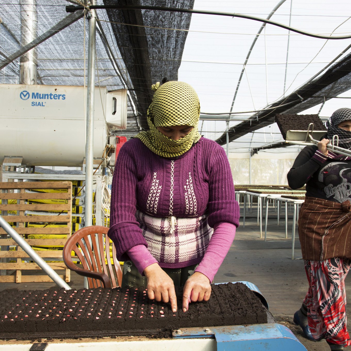L'image montre deux femmes travaillant dans une serre. L'une d'elles est au premier plan, concentrée sur un plateau de culture, où elle semble mettre des graines en terre. Elle porte un pull violet et un foulard. À l'arrière-plan, une autre femme marche, vêtue d'un pantalon coloré et d'un haut sombre. La serre est éclairée par la lumière naturelle, avec des filets qui filtrent le soleil. Des étagères en bois sont visibles, probablement utilisées pour le stockage ou la préparation des plants.