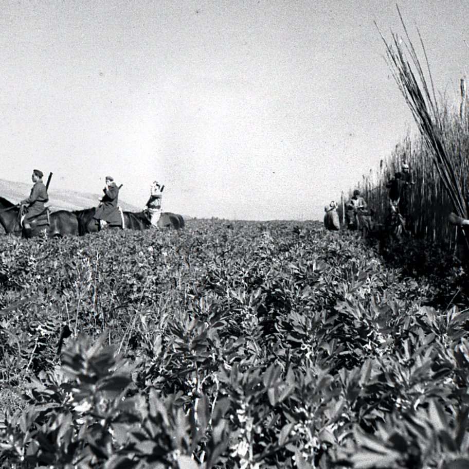 L'image montre une scène de récolte où plusieurs personnes travaillent dans un champ. On peut voir des travailleurs à cheval au fond, tandis que d'autres, au premier plan, semblent couper ou rassembler des plantes ou des herbes. Le paysage est vaste et rural, avec un ciel clair, suggérant une journée ensoleillée. Les vêtements des travailleurs peuvent indiquer une époque passée, donnant à l'image un air nostalgique.