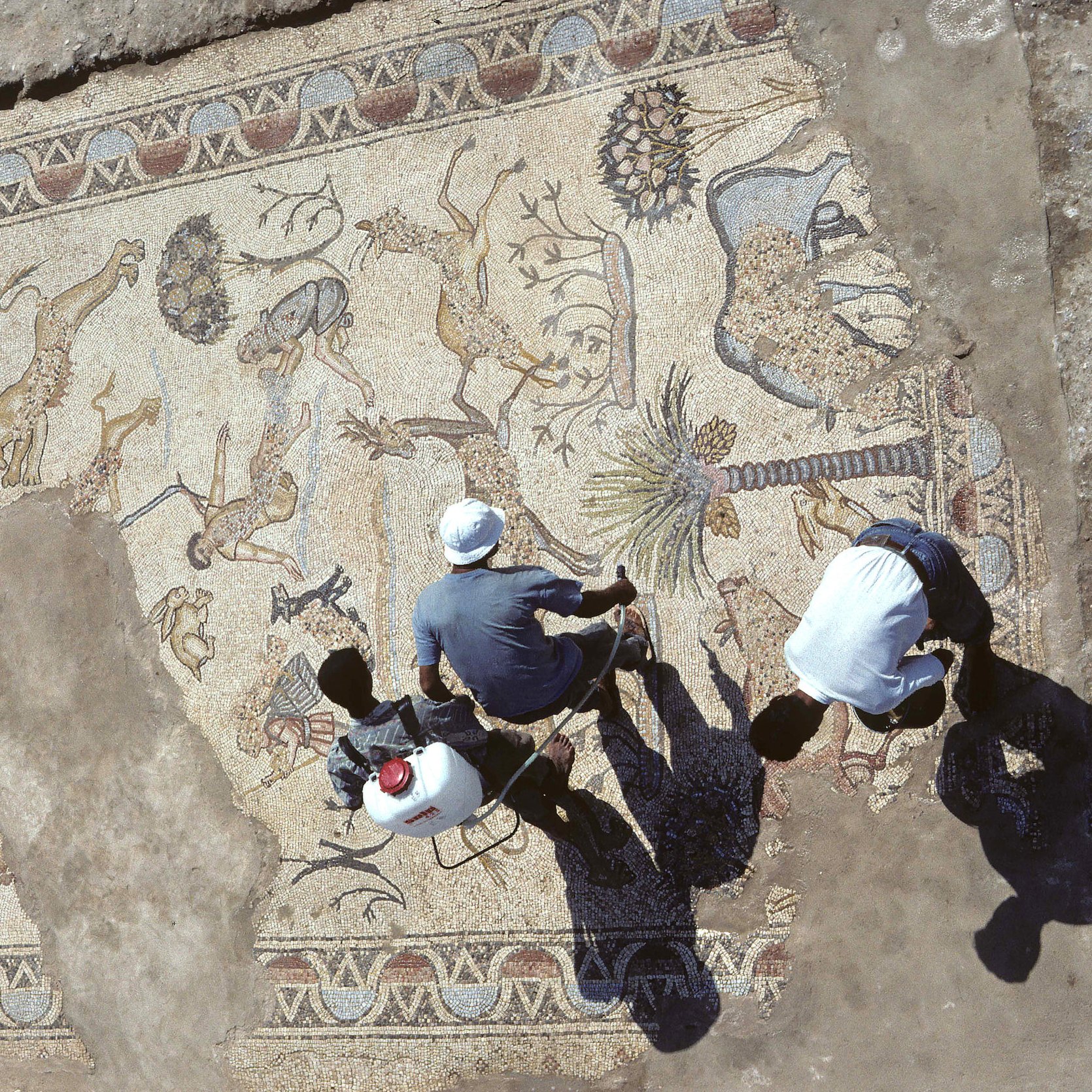 L'image montre une vue aérienne d'un sol en mosaïque impressionnant, découvert lors de fouilles archéologiques. Cette mosaïque représente une variété d'animaux, tels que des lions et des cerfs, ainsi que des motifs floraux et géométriques. On peut voir deux personnes travaillant à proximité, probablement en train d'examiner ou de restaurer la mosaïque. La terre autour de la mosaïque est dénudée, suggérant un site archéologique en plein exploration. Les ombres des personnes ajoutent une dimension intéressante à la scène.