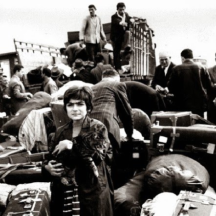 L'image montre une scène de personnes en situation de déplacement. Au premier plan, une jeune fille tient un animal, probablement un chat, dans ses bras, et elle est entourée de nombreux bagages, valises et paquets. En arrière-plan, on aperçoit d'autres personnes, certains sont en train de charger ou de décharger des objets d'un véhicule. L'atmosphère est chargée, et l'image semble capturer un moment de transition ou d'exode, évoquant des sentiments de nostalgie et de désespoir. Les tonalités en noir et blanc ajoutent une dimension dramatique à la scène.