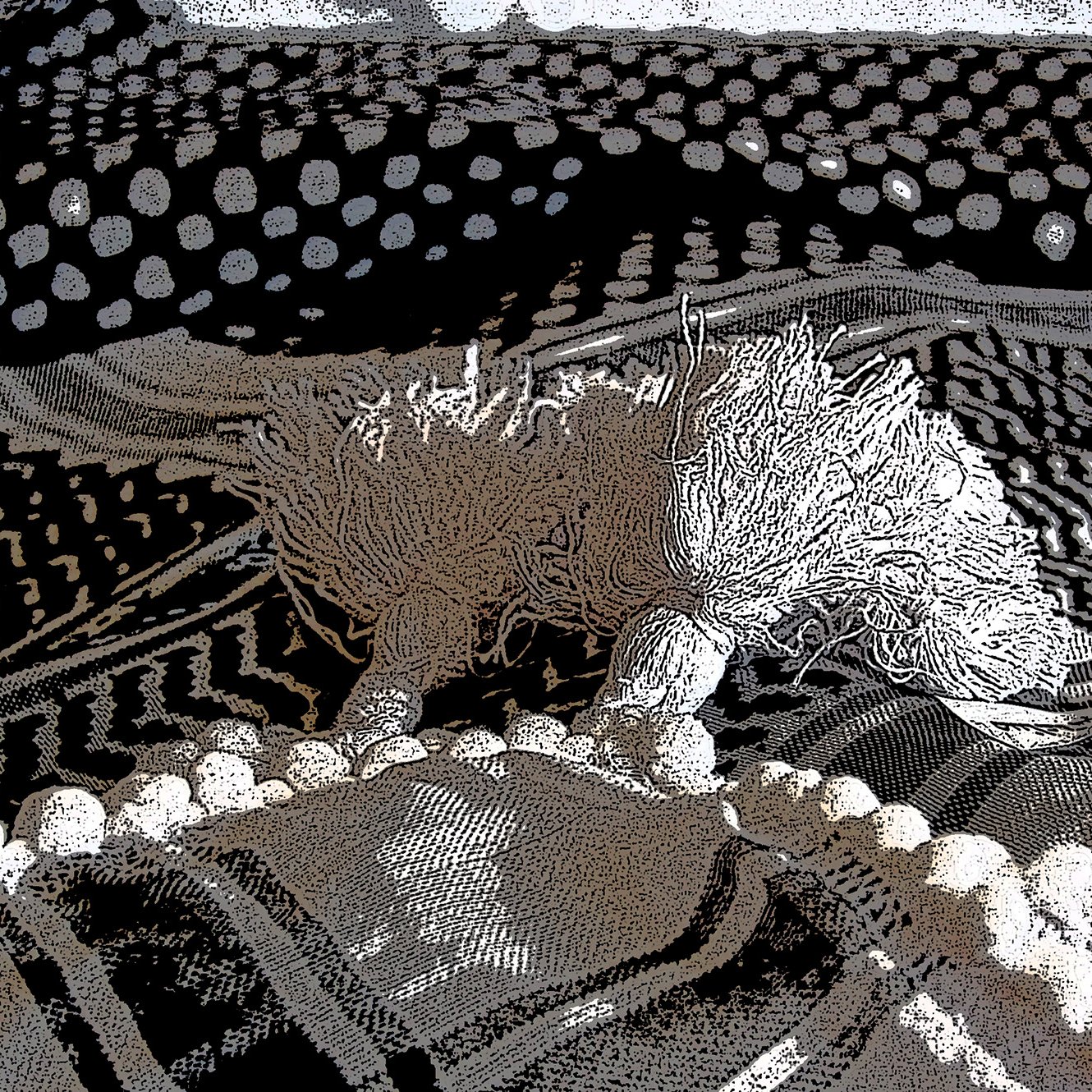 L'image présente un motif abstrait avec des formes organiques et des textures variées. On peut y voir des lignes ondulées et des motifs en points, créant un contraste visuel intéressant. Les couleurs sont principalement monochromes avec des nuances de noir et blanc, ce qui ajoute une dimension graphique. L'ensemble évoque une sensation de profondeur et d'interconnexion, comme si des éléments naturels ou des microorganismes étaient représentés dans un style artistique.