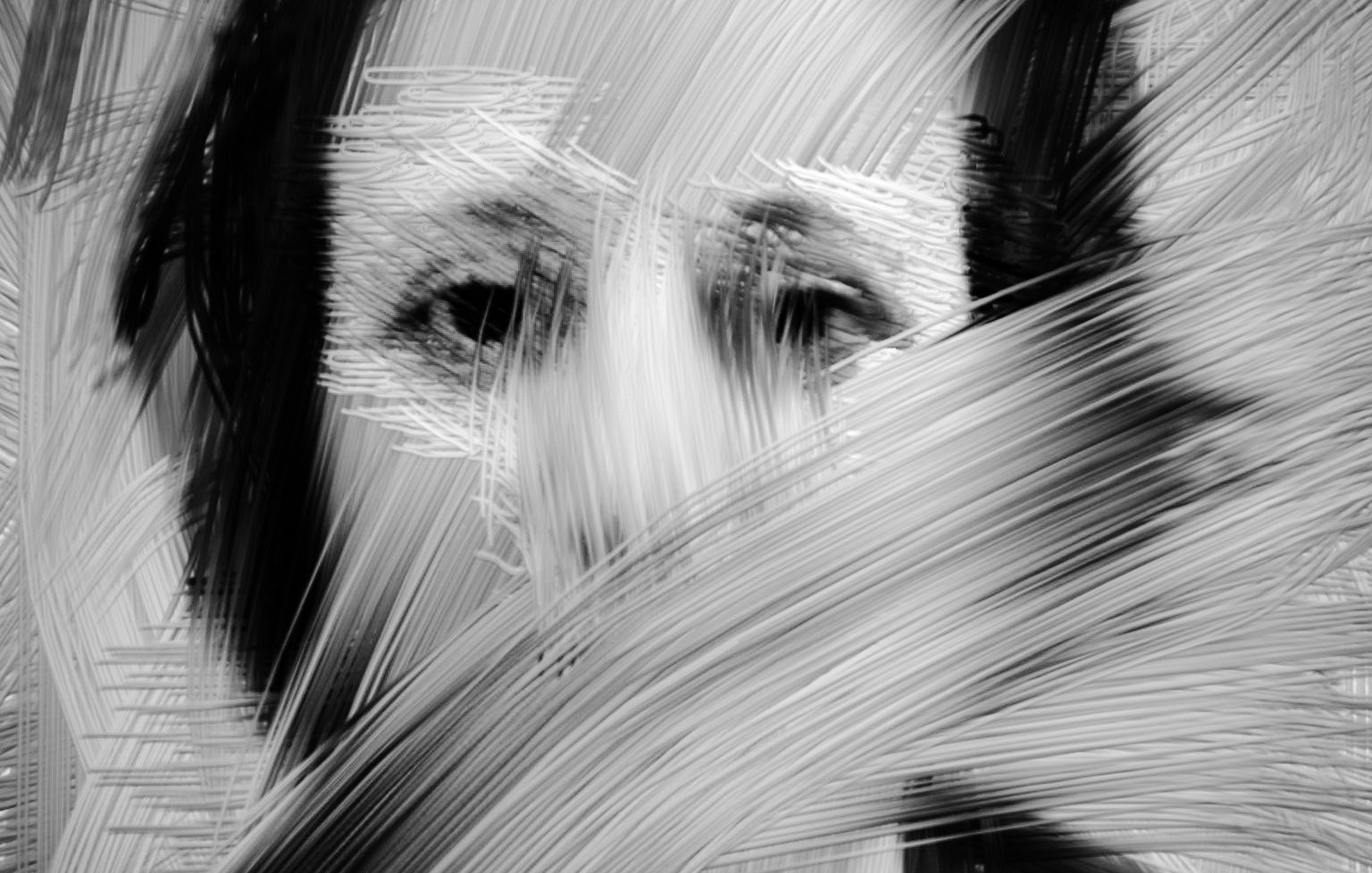 L'image représente un portrait dont les traits sont flous et estompés, créant un effet abstrait. Les lignes de pinceau noires et blanches se croisent, donnant une impression de mouvement et de texture. Le visage est à peine reconnaissable, ce qui accentue le caractère mystérieux de l'œuvre.