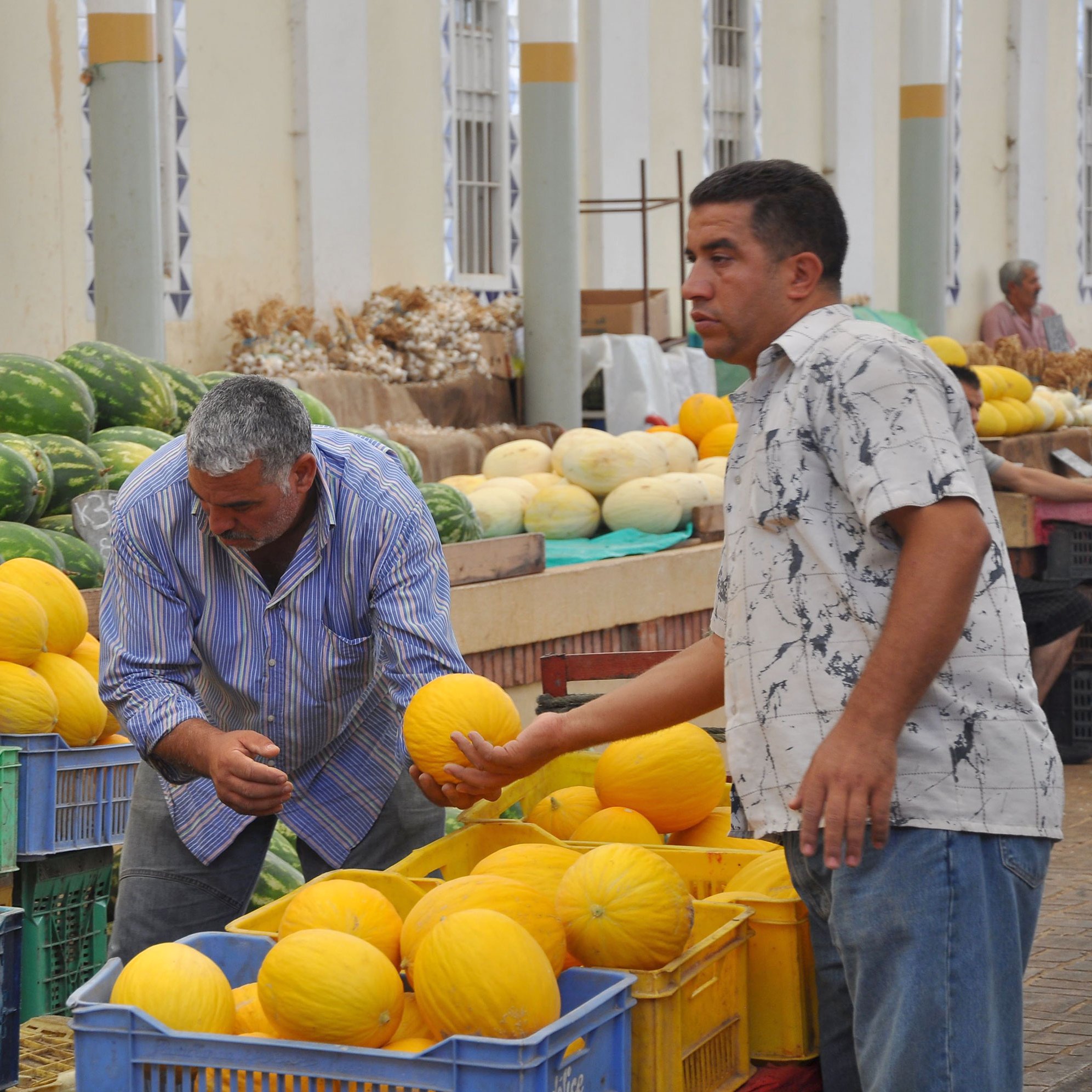 L'image montre un marché où plusieurs personnes s'occupent de la vente de melons. Il y a des paniers en plastique contenant des melons jaunes, et des melons de différentes tailles sont dispersés sur des tables. Deux hommes sont au premier plan : l'un est penché pour examiner un melon, tandis que l'autre tient un melon et semble discuter ou réfléchir. En arrière-plan, on peut voir d'autres melons et des gens qui s'affairent. L'ambiance semble animée et colorée, typique d'un marché local.