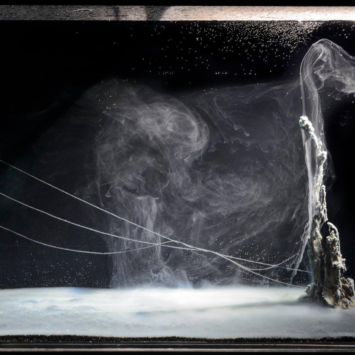 L'image montre une scène abstraite qui pourrait représenter un paysage aquatique ou une œuvre artistique. Le fond est principalement noir, créant un contraste fort avec les éléments blancs et gris à l'intérieur. Des formes de filaments blancs semblent flotter ou être suspendus dans l'air ou l'eau. À droite, il y a une structure rocheuse semblant émerger d'une surface blanche. Des motifs tourbillonnants et des volutes de fumée ou d'une autre substance légère ajoutent à l'aspect éthéré et onirique de l'image. Les fils tendus traversant l'image à gauche ajoutent à cette impression de suspension ou de flottaison. L'ensemble de la scène donne une impression de mystère et d'abstraction.