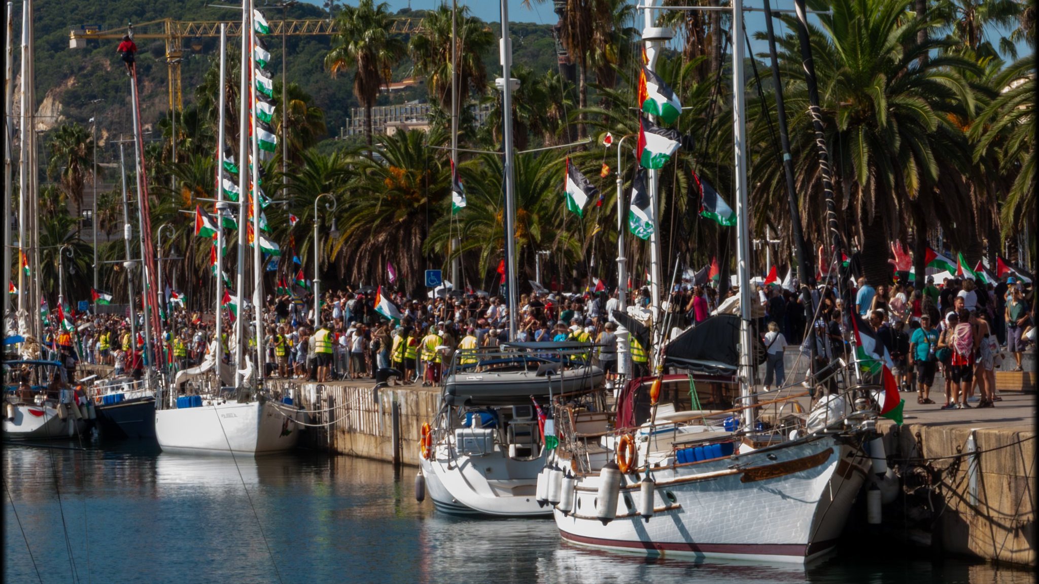 Port animé avec des voiliers décorés de drapeaux et des gens rassemblés sous des palmiers.