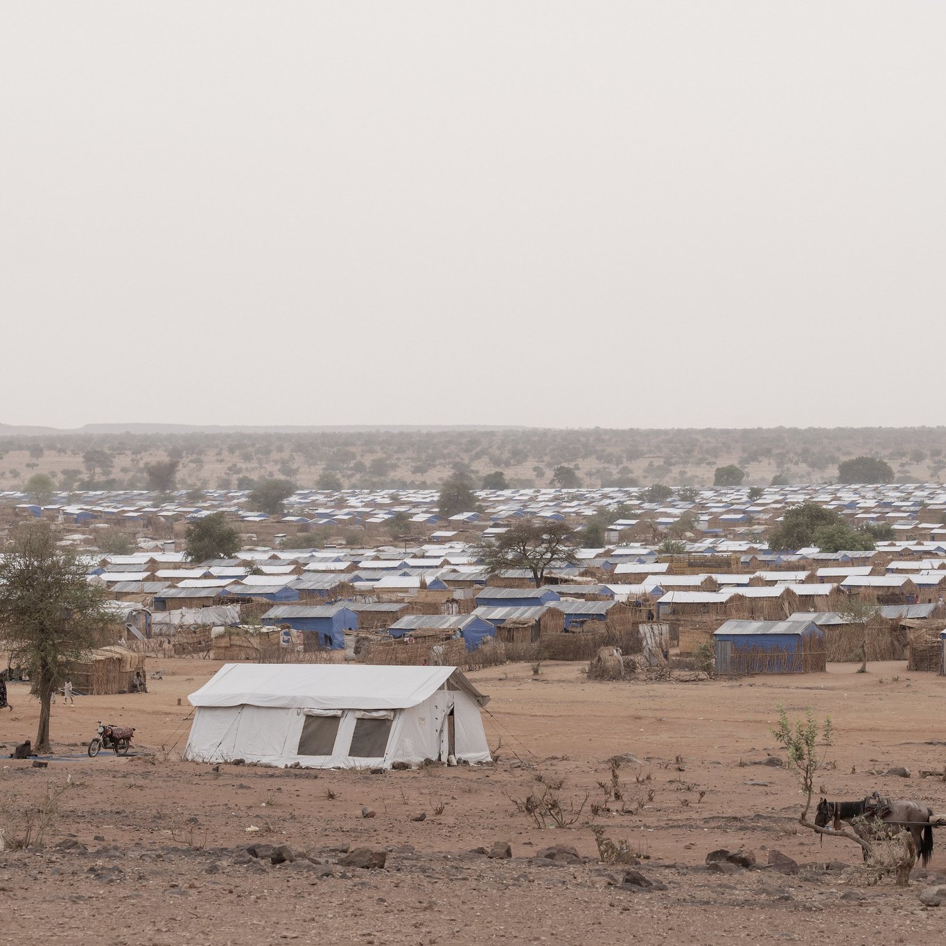 L'image montre un large camp de tentes dans une zone aride. On y voit de nombreuses petites tentes de couleur bleue et beige, entourées de sols secs et caillouteux, avec quelques arbres dispersés dans le paysage.