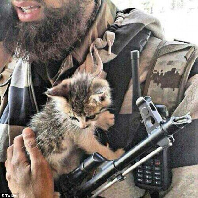 L'image montre un homme portant un uniforme militaire avec une barbe, tenant un chaton dans ses bras. Le chaton, qui semble curieux et mignon, est positionné près d'une arme à feu et d'un talkie-walkie accrochés à l'uniforme. L'ensemble crée un contraste saisissant entre la douceur de l'animal et l'environnement militarisé.