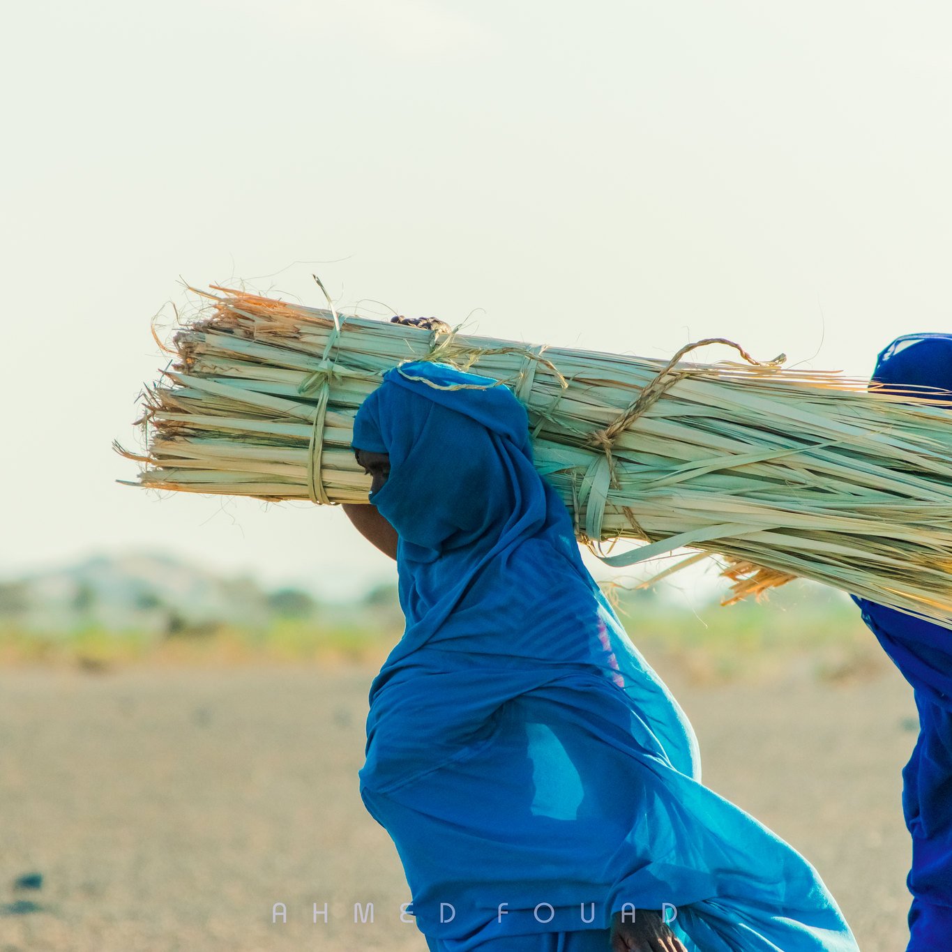 L'image montre deux personnes portant de lourdes charges de végétation sur leurs épaules. Elles sont vêtues de vêtements traditionnels, affichant des couleurs vives, notamment du bleu. Le paysage est aride, avec un sol poussiéreux et des collines en arrière-plan. La lumière du soleil éclaire la scène, créant une atmosphère de travail en plein air.