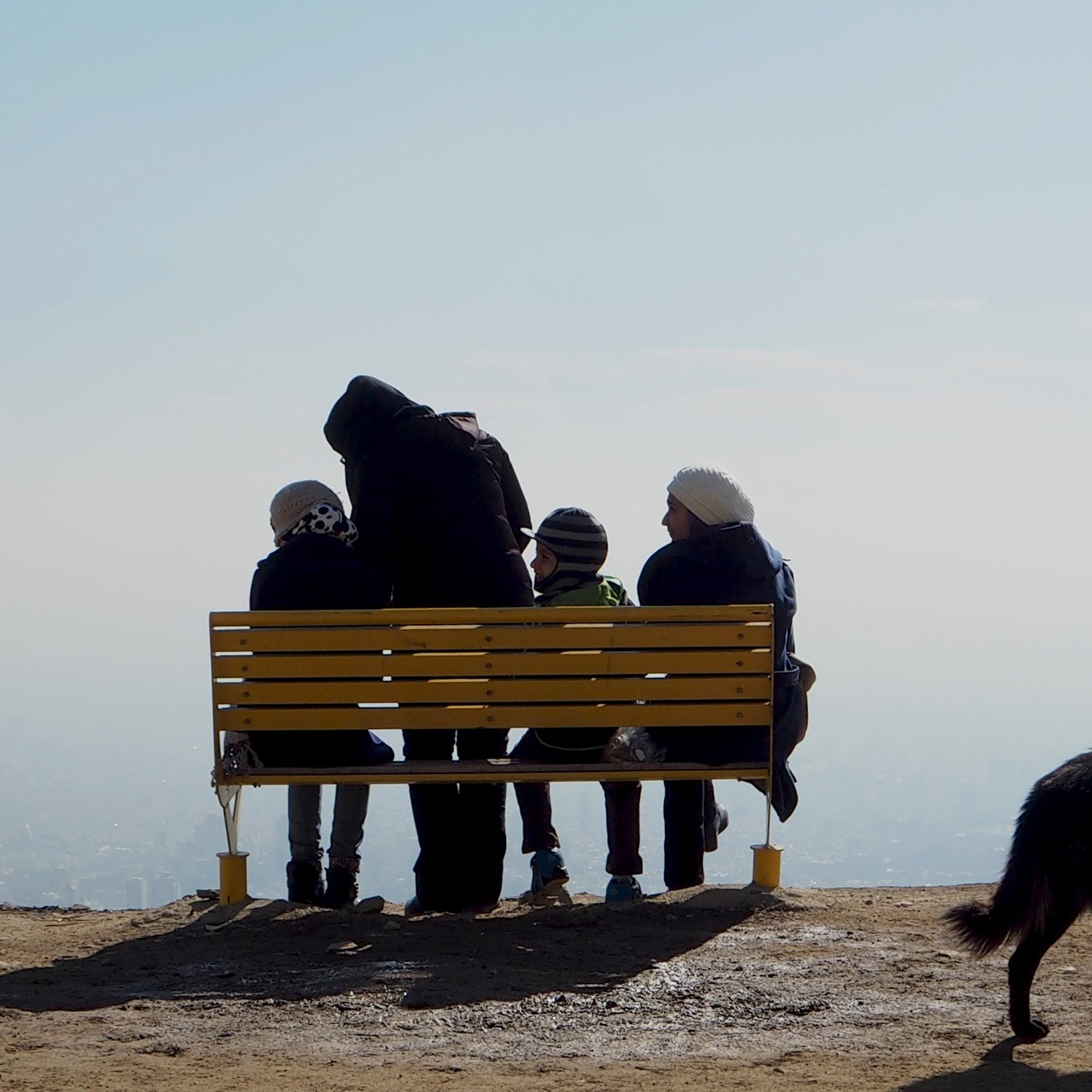 L'immagine mostra un gruppo di persone sedute su una panchina gialla situata in un luogo panoramico. Sono rivolte verso il paesaggio, apparentemente immersi nei loro pensieri o nella contemplazione della vista. La scena è caratterizzata da un'atmosfera serena e tranquilla, con una leggera foschia che sfuma l'orizzonte. Accanto alla panchina, un cane nero si avvicina, aggiungendo un tocco di vita all'immagine. Le persone indossano abbigliamento invernale, suggerendo che potrebbe essere una giornata fredda.