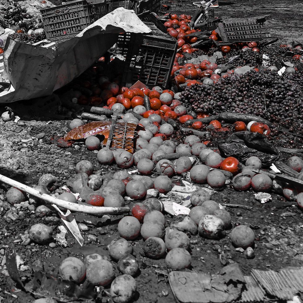 تظهر الصورة مجموعة من الفواكه المتناثرة على الأرض. الألوان الرئيسية هي تدرجات رمادية، مع تواجد بعض الفواكه باللون الأحمر، مثل الطماطم. هناك أيضًا بعض السلال المستخدمة لتخزين الفواكه، وبعض الفواكه الأخرى التي تبدو متروكة ومهملة. تبدو البيئة المحيطة غير مرتبة، مما يشير إلى حالة من الفوضى أو الإهمال.