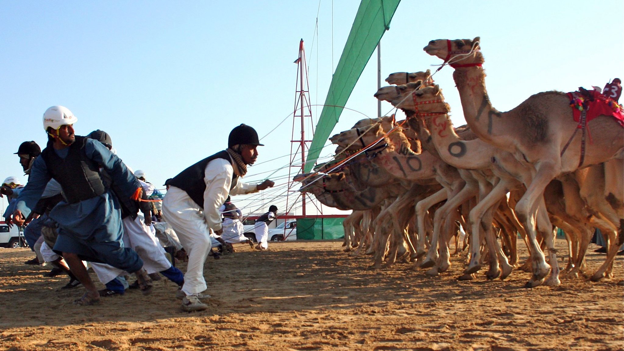 تشير الصورة إلى سباق الإبل، حيث يُلاحظ عدد من الإبل التي تم تجهيزها للسباق، يقودها متسابقون يرتدون ملابس تعبر عن التراث. يتمسك البعض بالحبال الخاصة بالإبل بينما تتحرك الإبل نحو خط النهاية. يتميز المكان بأجواء احتفالية، مع وجود خيام وبساط من الرمال تحت أشعة الشمس.