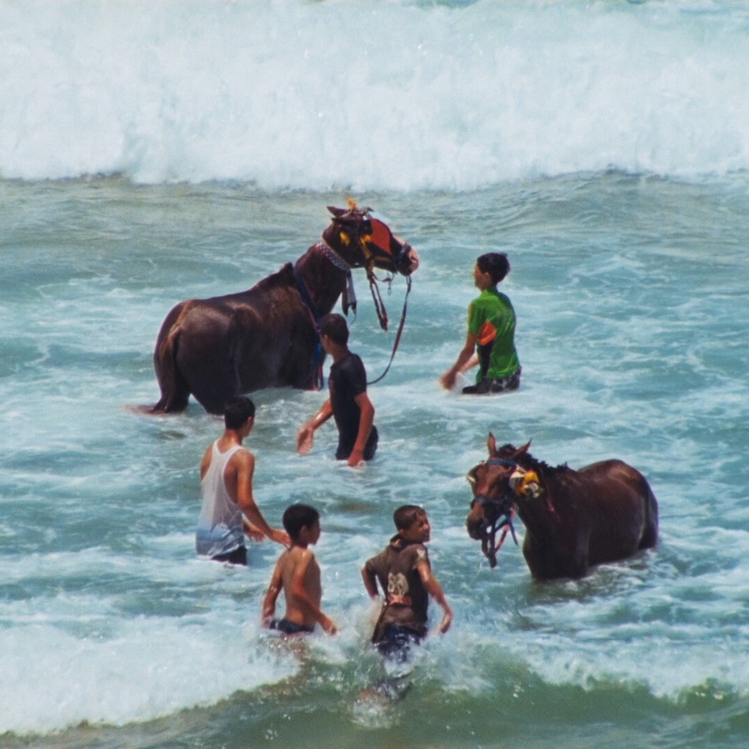 The image shows several people in the ocean with two horses. The horses, adorned with decorative accessories, are standing in the shallow water, while the people, including children and adults, are interacting with them. Waves can be seen in the background, creating a lively beach scene. The atmosphere appears joyful and playful, with the water splashing around as the individuals engage with the horses.