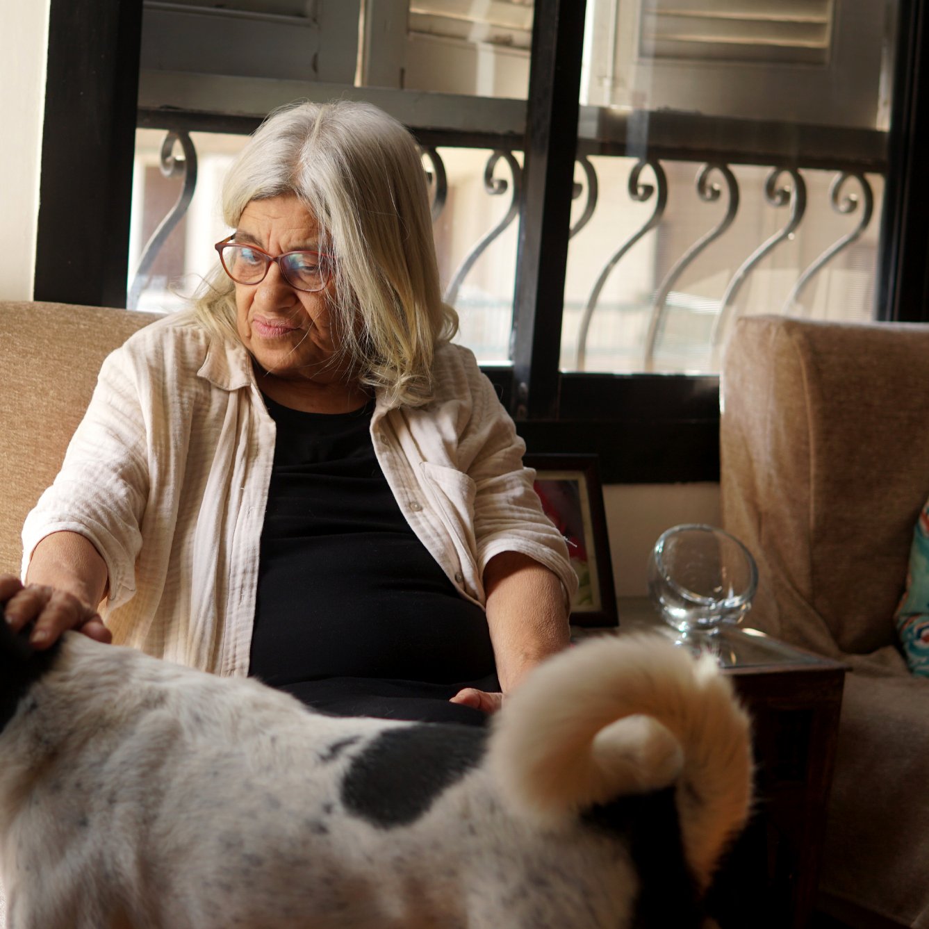 Nell'immagine, vediamo una donna anziana con capelli bianchi e lunghi che indossa occhiali e una camicia chiara. È seduta su un divano in una stanza luminosa, con una finestra sullo sfondo che lascia entrare la luce. Accanto a lei, un cane bianco con macchie nere si avvicina, mentre la donna sembra accarezzarlo con affetto. L'atmosfera è calda e accogliente, riflettendo un momento di intimità tra la donna e il suo animale domestico.