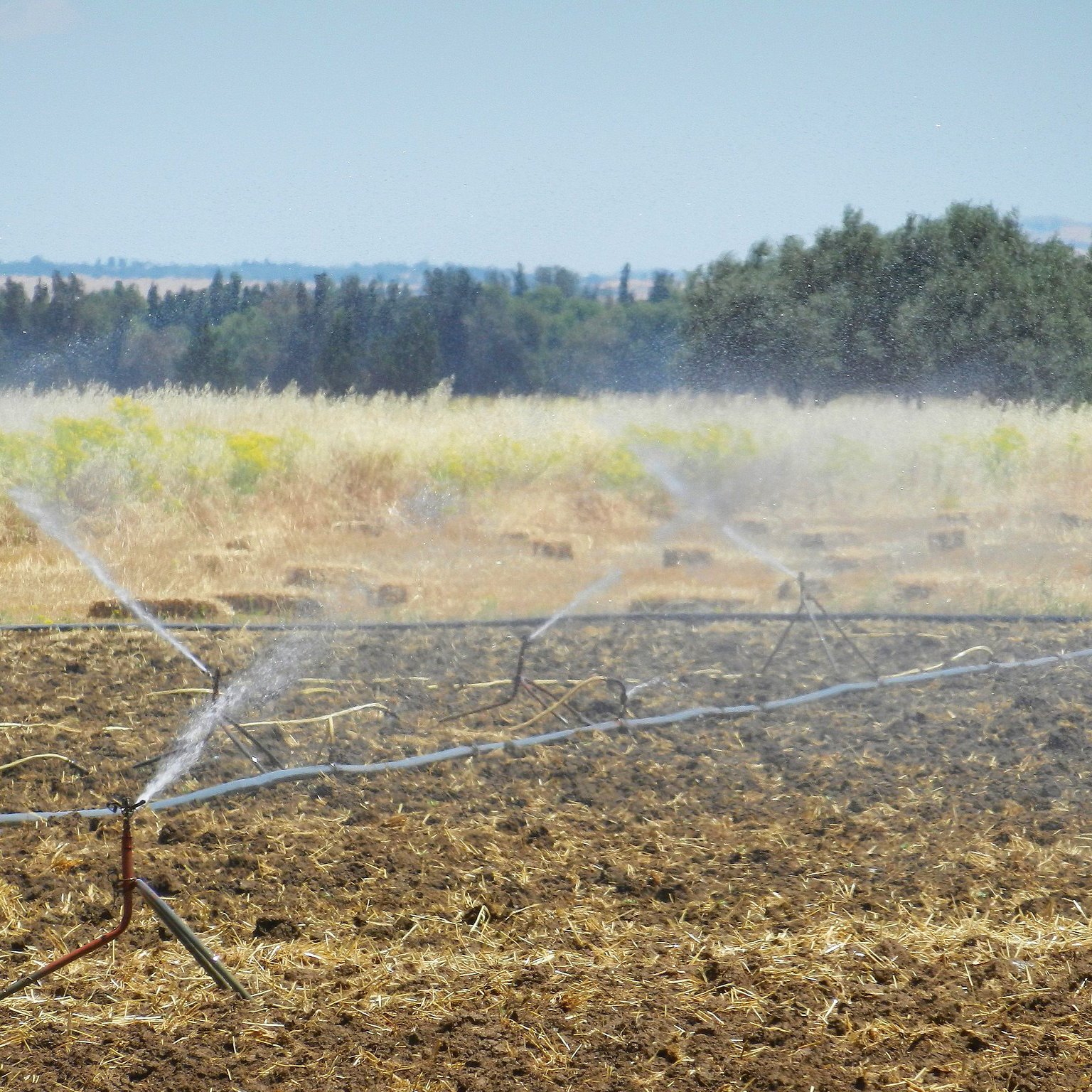 L'image montre un champ arrosé par un système d'irrigation. Des tuyaux sont disposés au sol, projetant de l'eau sur le sol sec. En arrière-plan, on peut voir des collines verdoyantes et des arbres. Le ciel est dégagé, et il semble faire beau. L'ensemble évoque une scène rurale liée à l'agriculture.