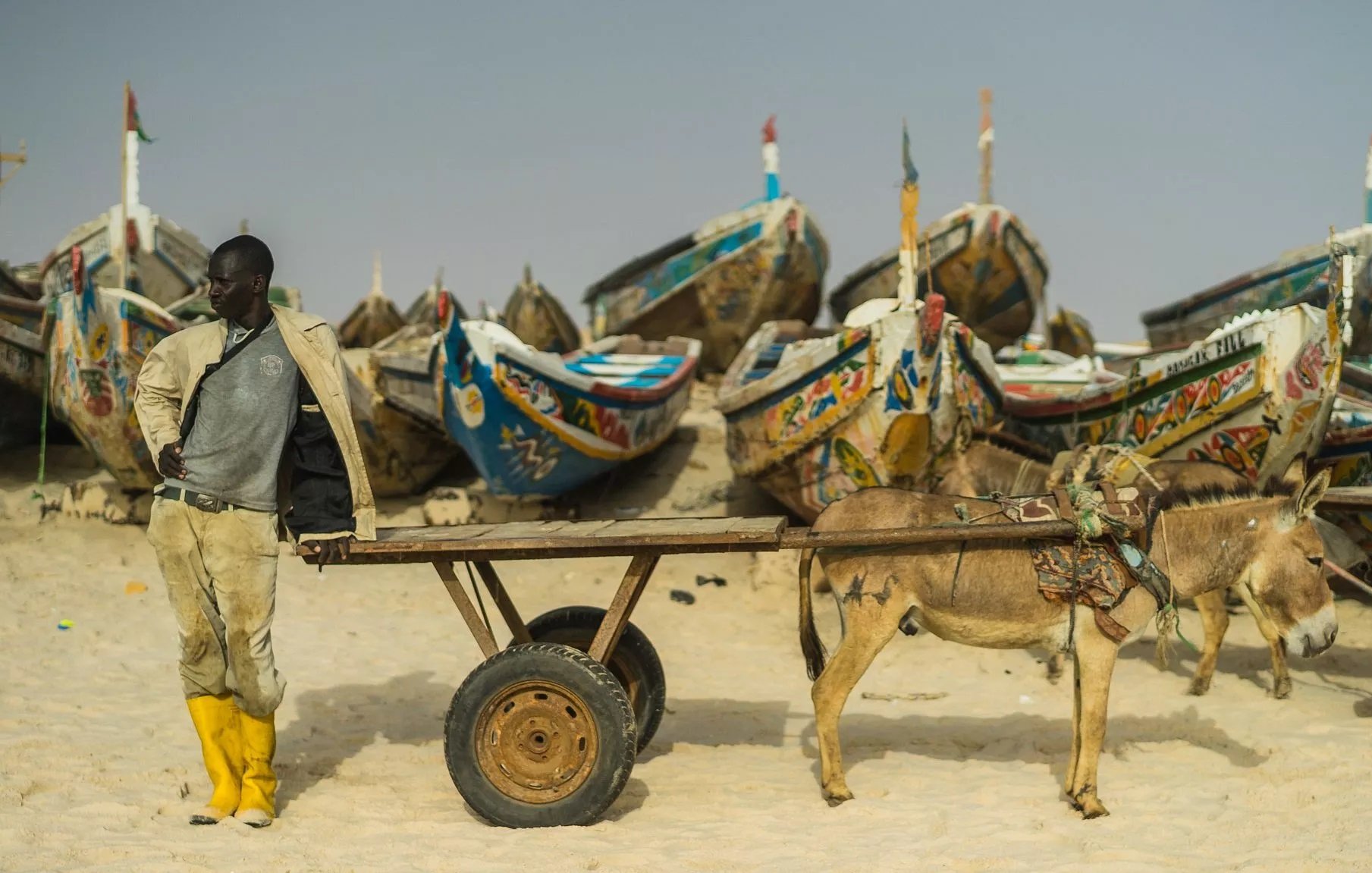 L'image montre un homme debout à côté d'une charrette tirée par un âne sur une plage. En arrière-plan, plusieurs bateaux colorés sont échoués sur le sable, ornés de motifs et de peintures vives. L'homme porte des bottes jaunes, un pantalon beige et une veste claire. L'ambiance évoque une scène de la vie maritime, probablement liée à la pêche.