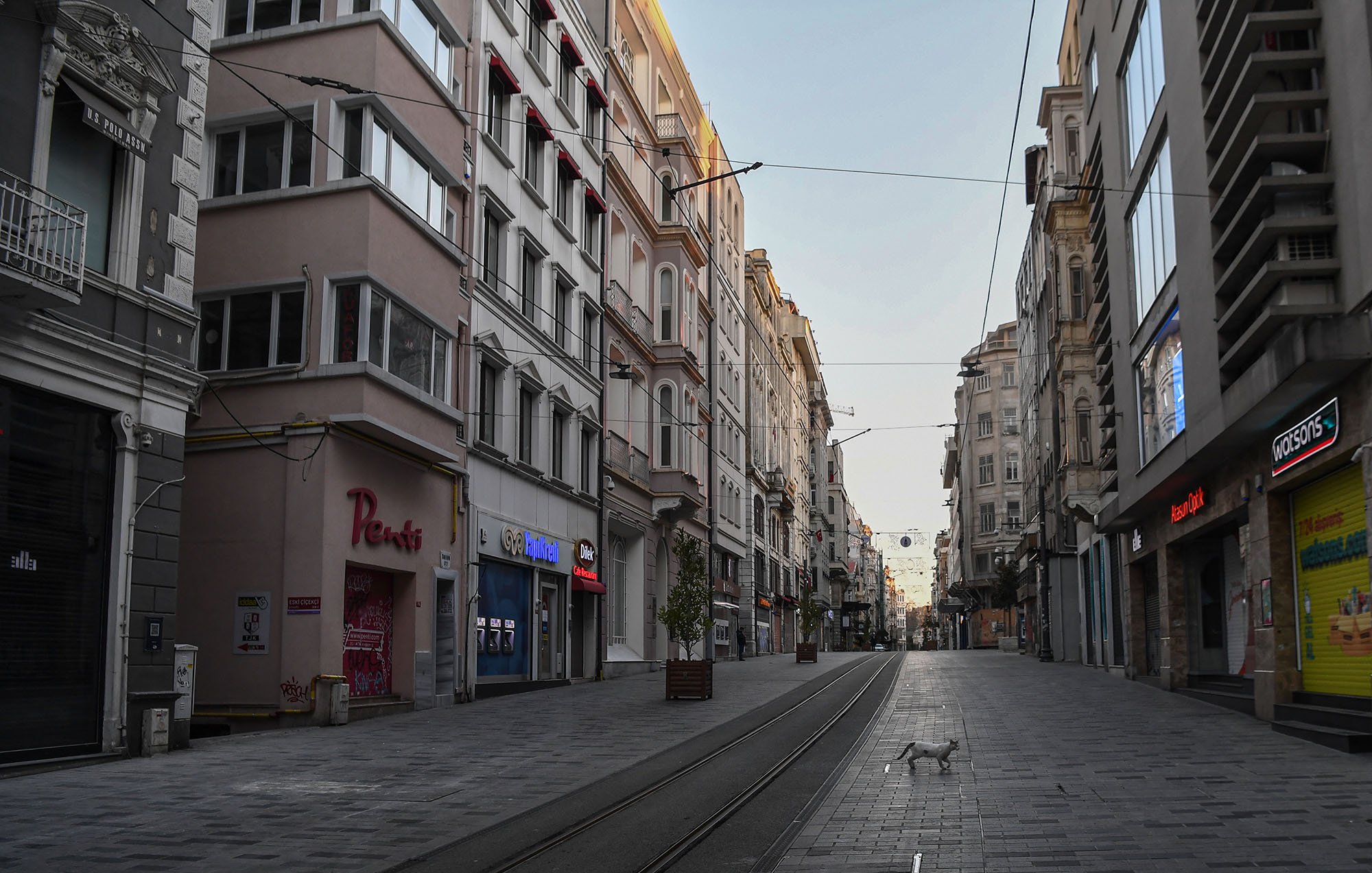 الصورة تظهر شارعًا في مدينة تبدو فيه الأجواء هادئة وخالية من الناس. تحيط بالمكان مبانٍ تاريخية بألوان دافئة، حيث تمثل العمارة الطراز المعماري المميز للمدينة. يبدو أن الشارع مُعدٌّ لوسائل النقل العامة، حيث توجد خطوط السكك الحديدية، ويمر ضوء خافت يعكس الصباح الباكر. في الوسط، يمكن رؤية كلب يسير عبر الشارع، مما يضيف لمسة من الحياة إلى المنظر الهادئ.