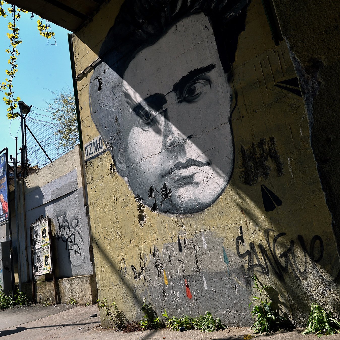 L'immagine mostra un murale di un volto umano, molto probabilmente di un uomo, dipinto su un muro grigio. Il viso ha lineamenti distintivi e intensi, con un'espressione che attira l'attenzione. Sullo sfondo, si può vedere una strada o un marciapiede con un uomo che cammina, mentre alcuni elementi di verde e graffiti decorano la scena. La luce del sole crea una serie di ombre, accentuando l'atmosfera urbana del luogo.