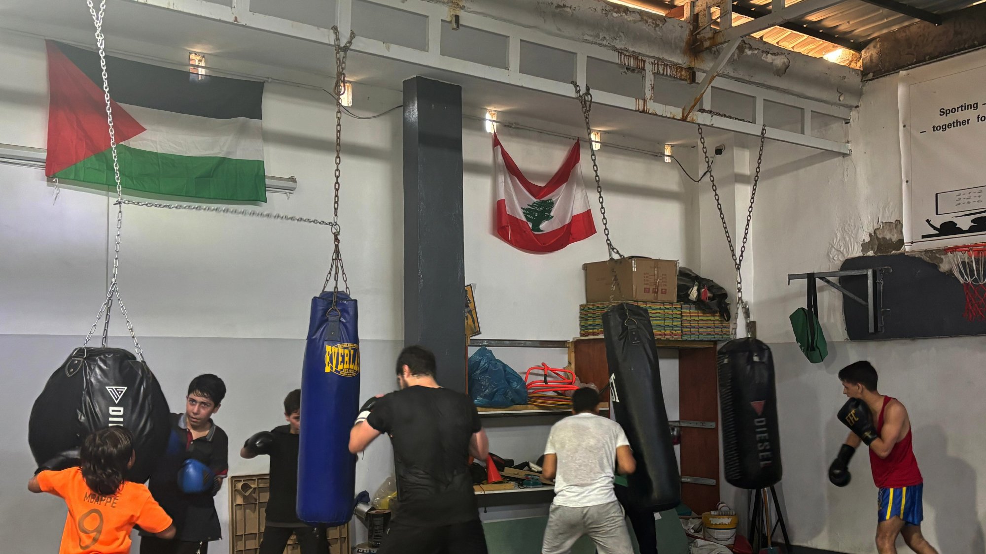 مجموعة من الشباب يتدربون في قاعة ملاكمة، تتدلى أكياس الملاكمة من السقف.